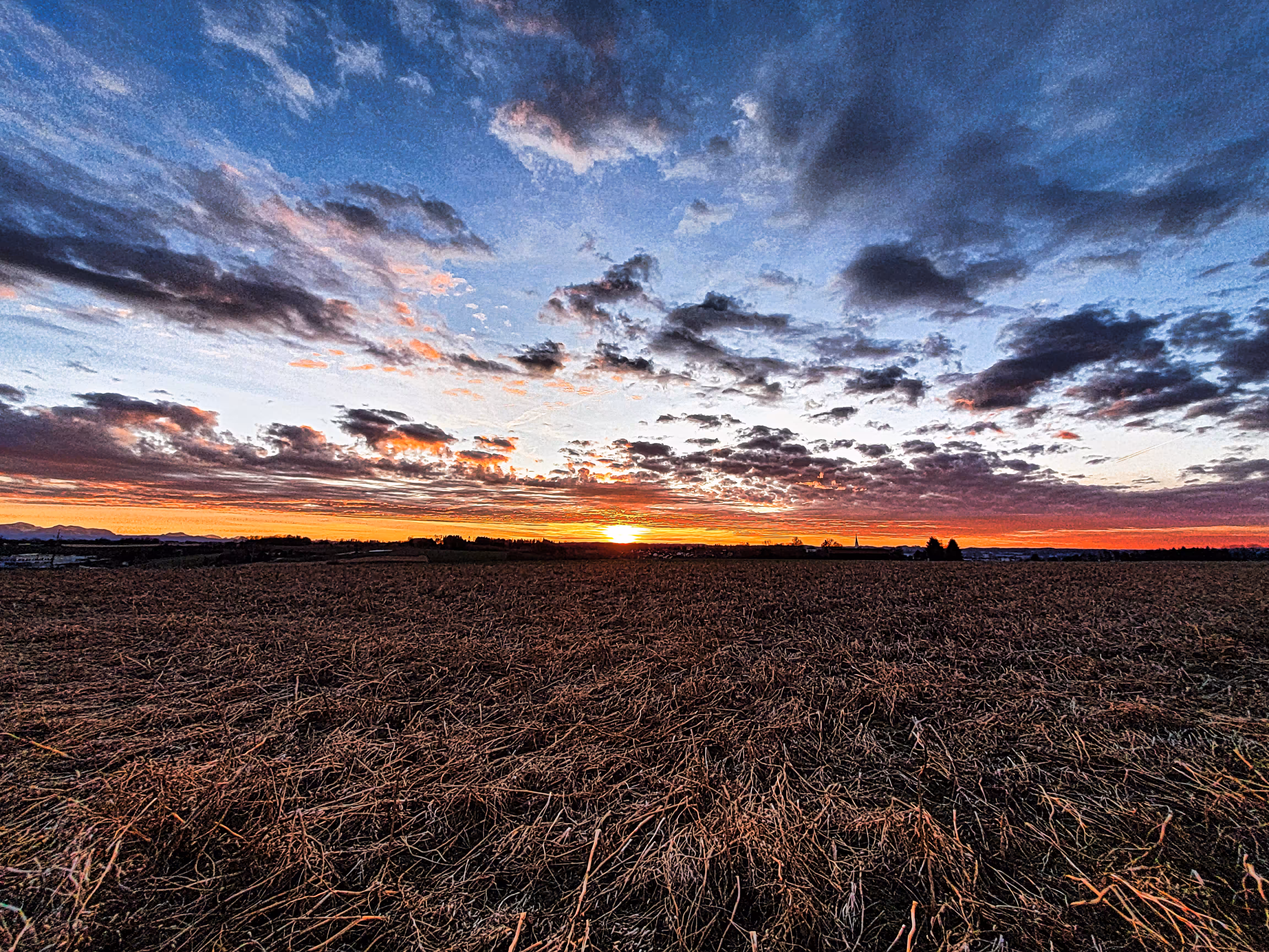 Sunset on the crop field