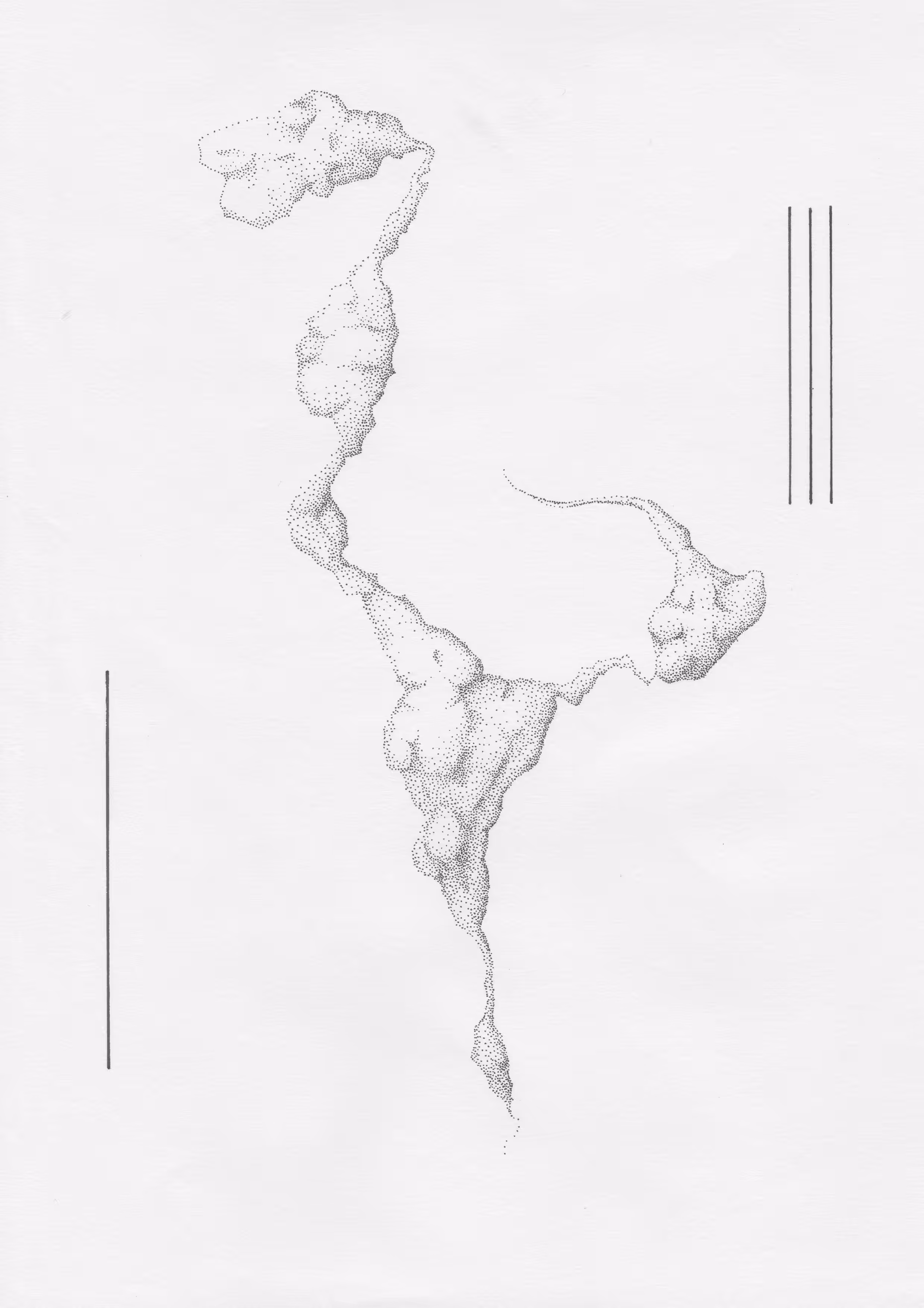 BUMPS & LINES 004