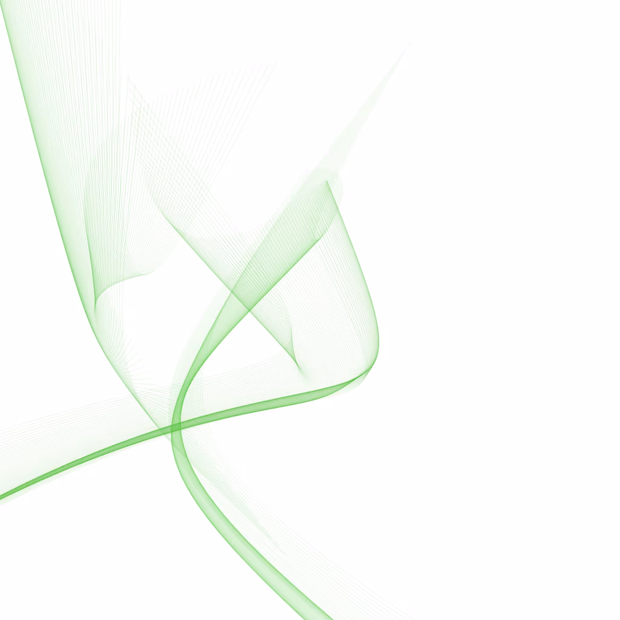 mantis