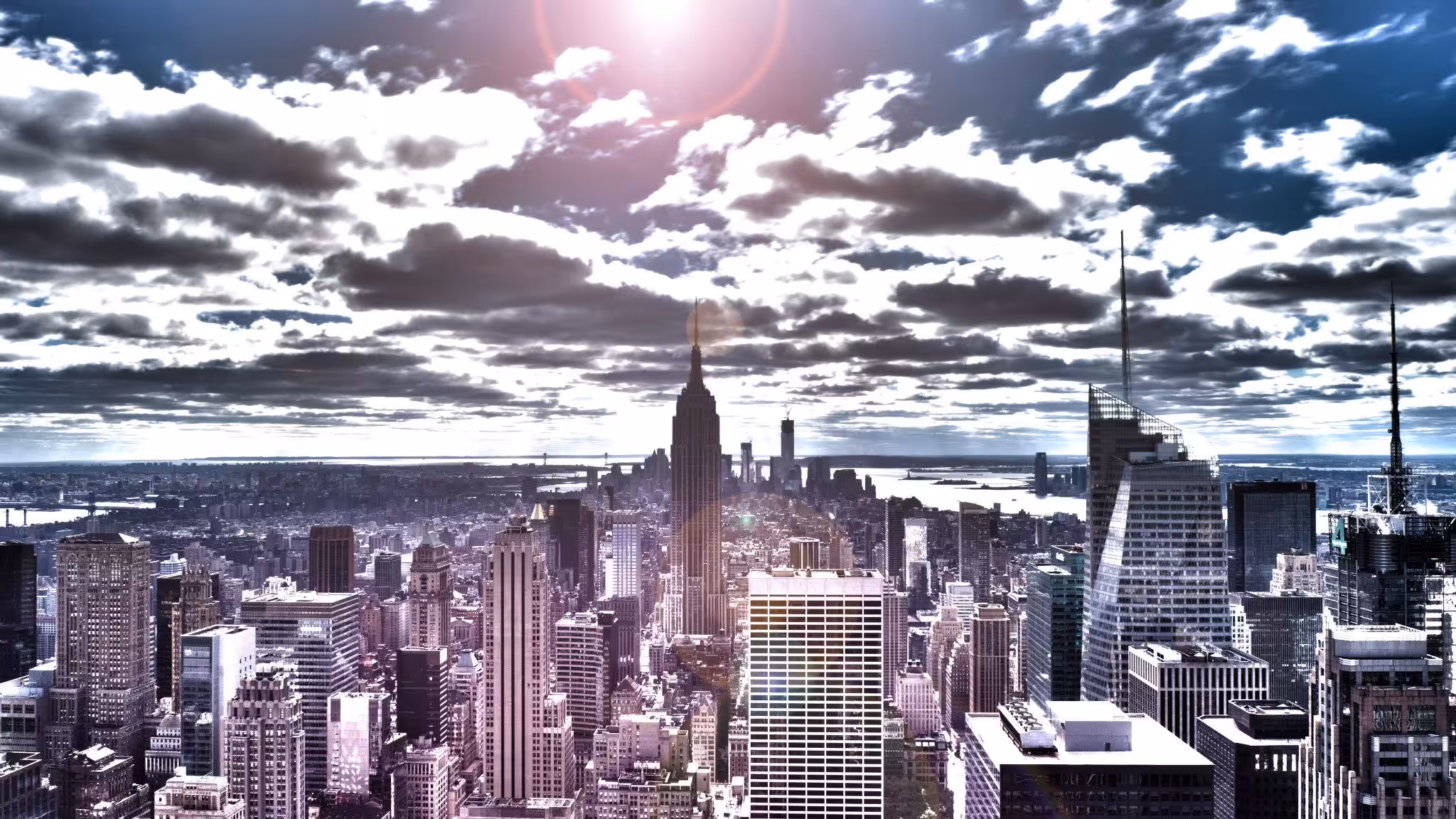 Concrete Jungle