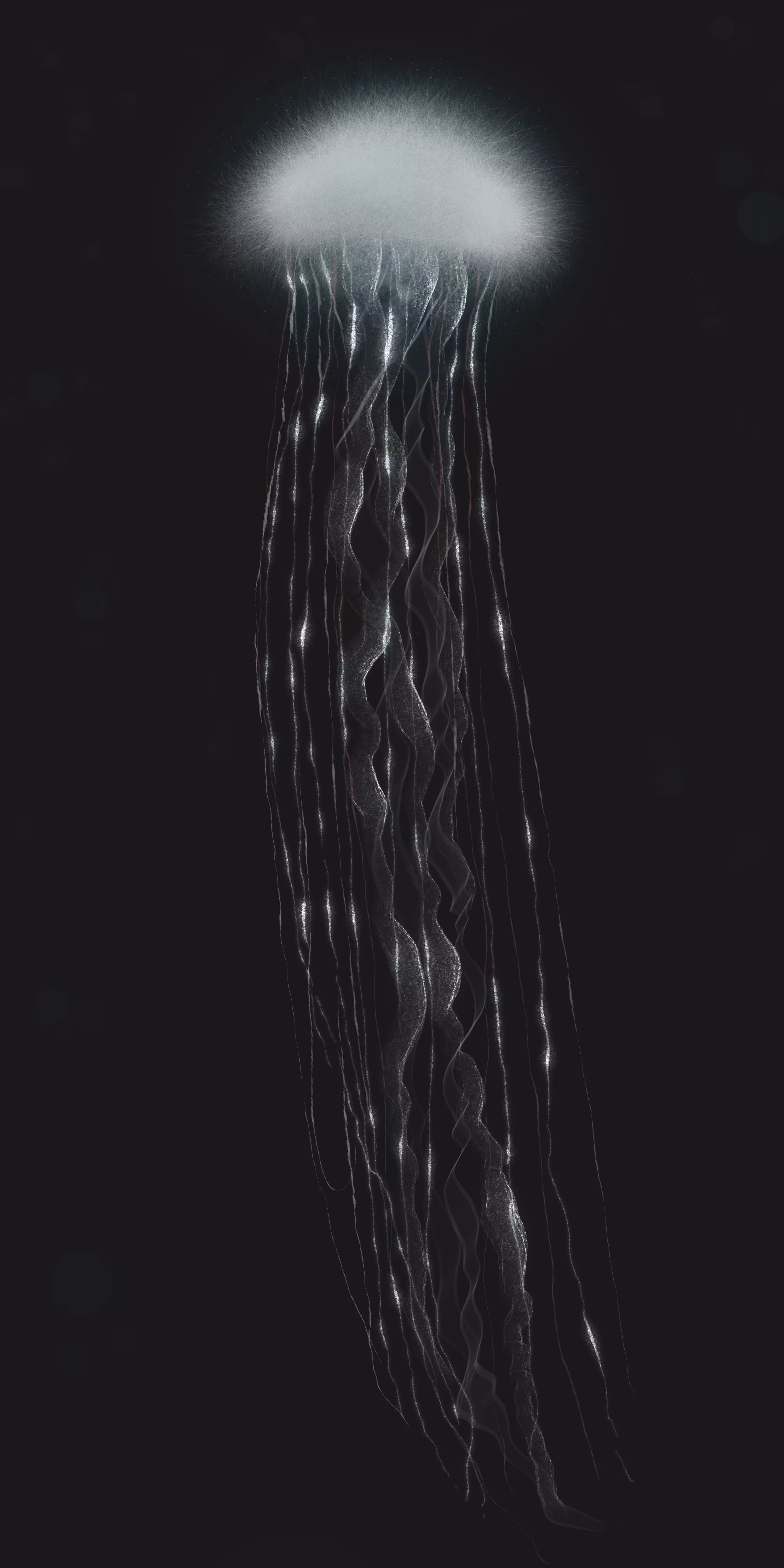 Creatures : Another jellyfish