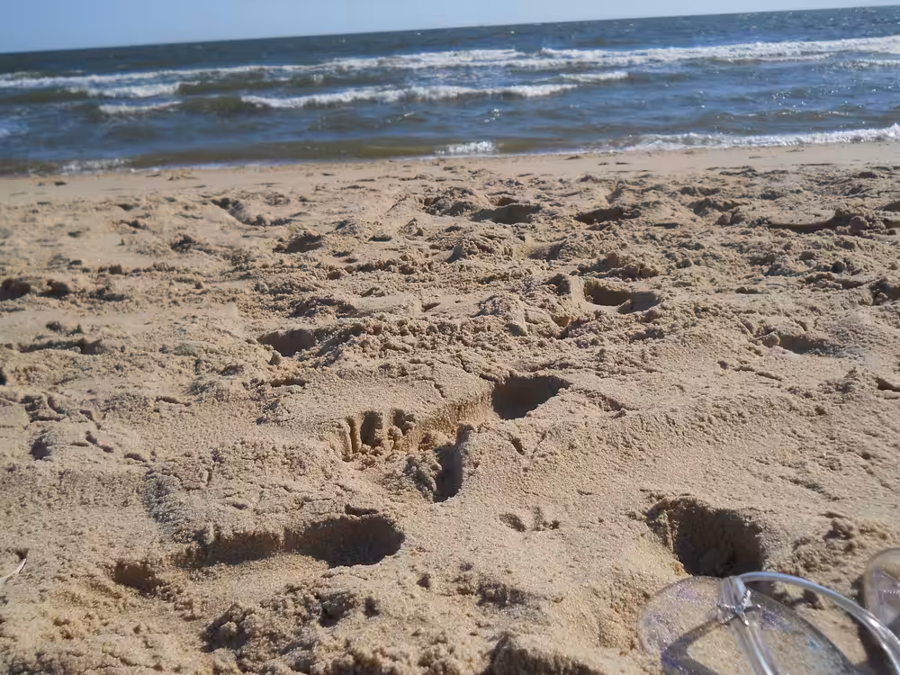 Day At The Beach #1