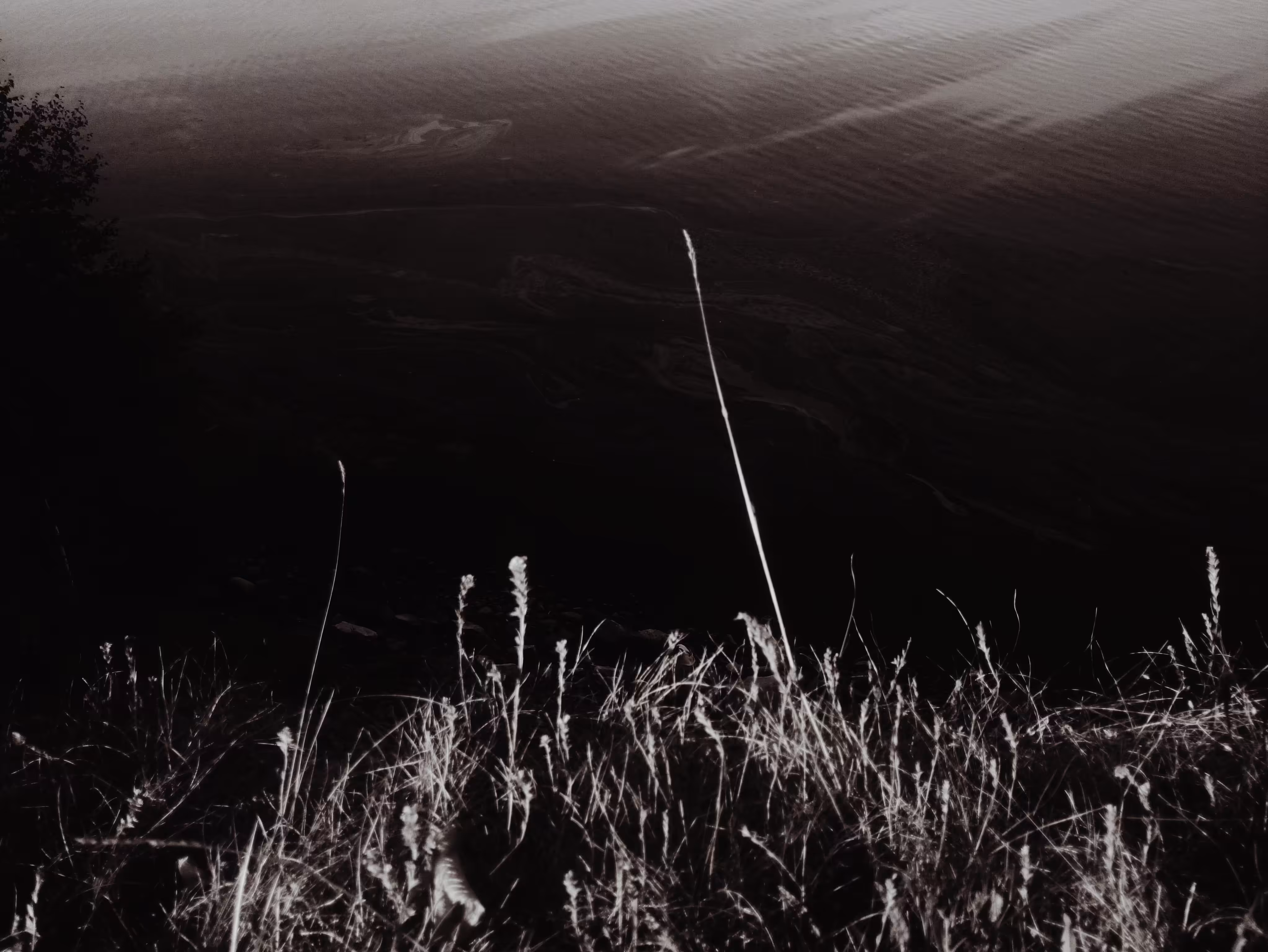 By the cliff