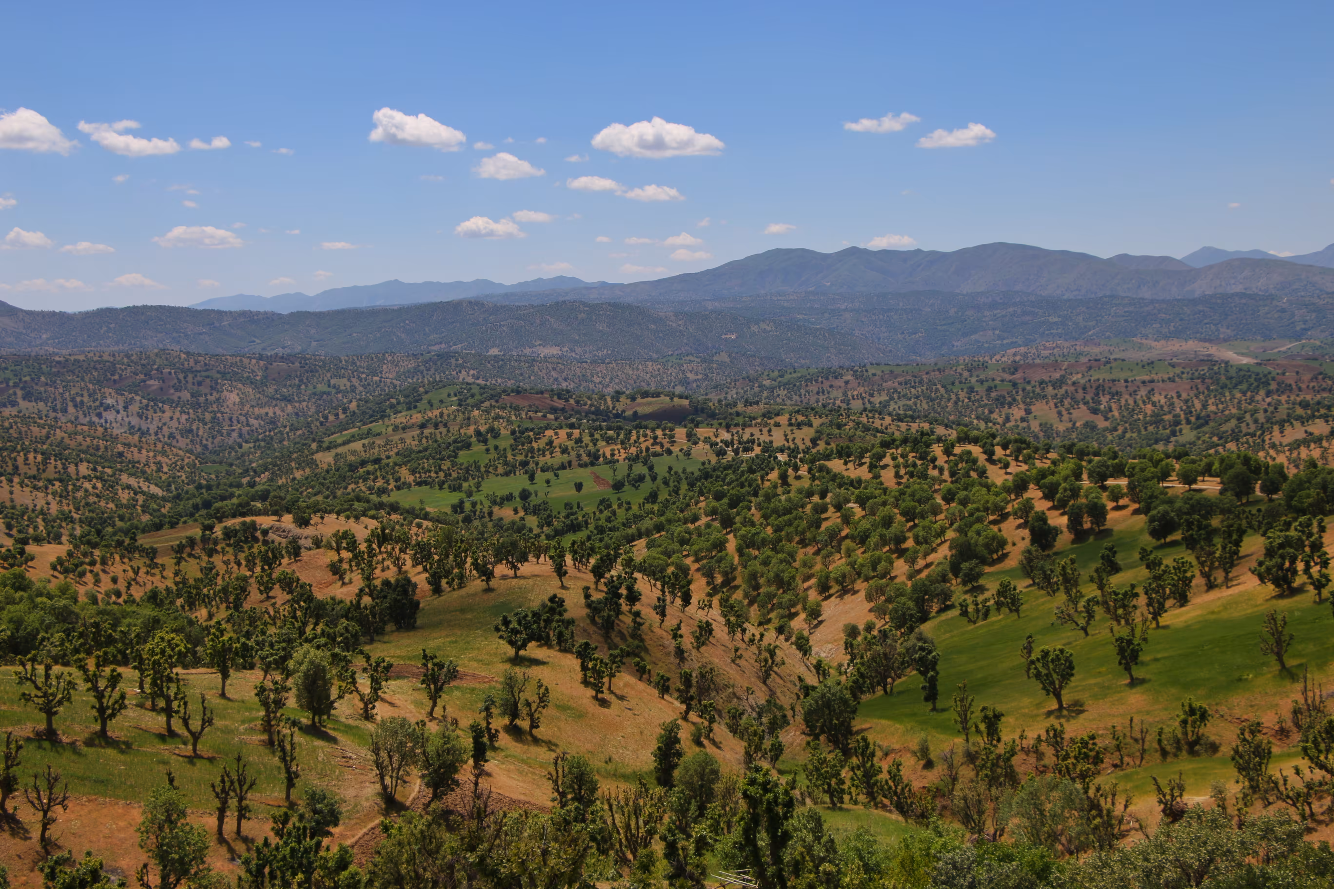 Landscape