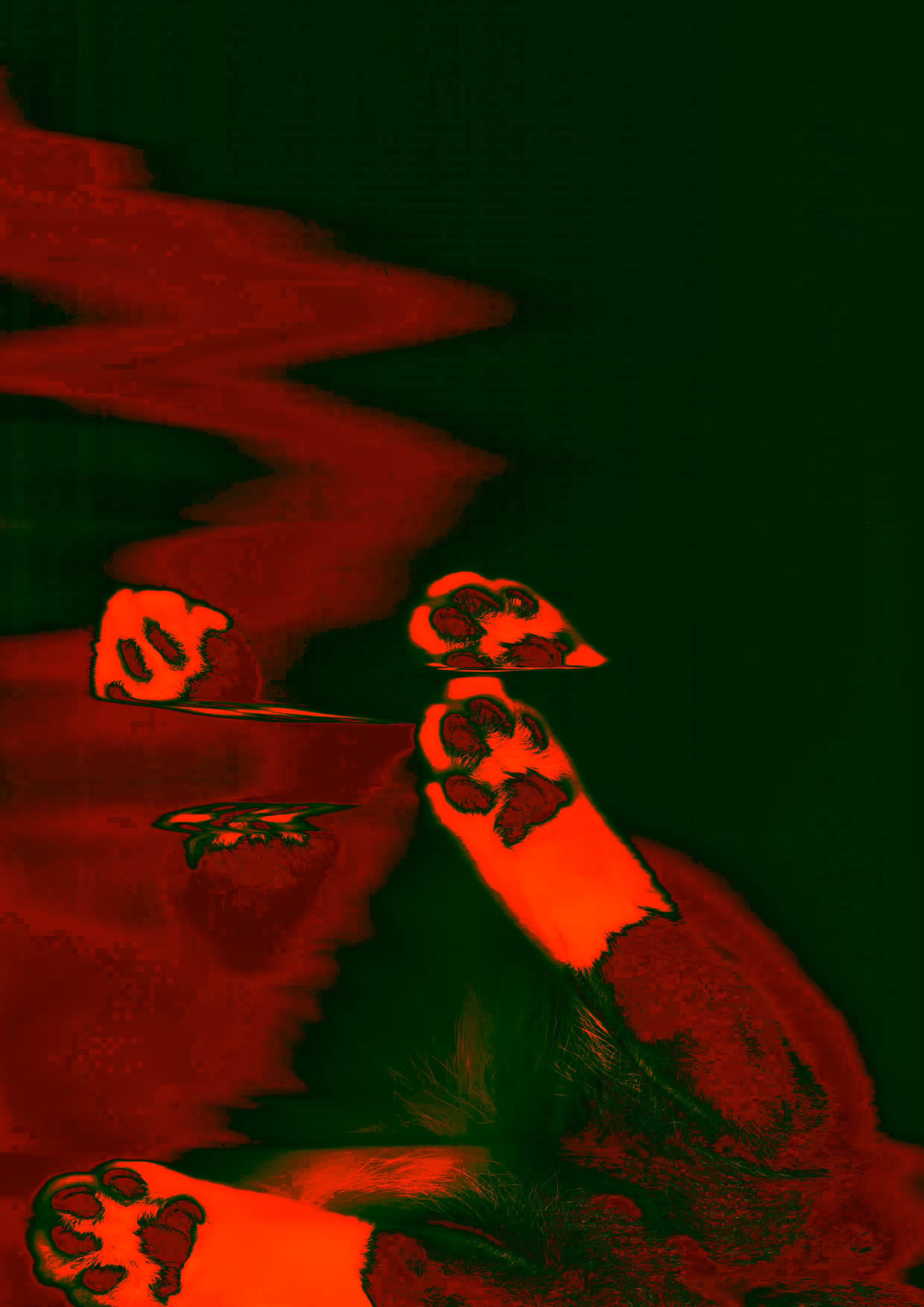skittlebutt 2