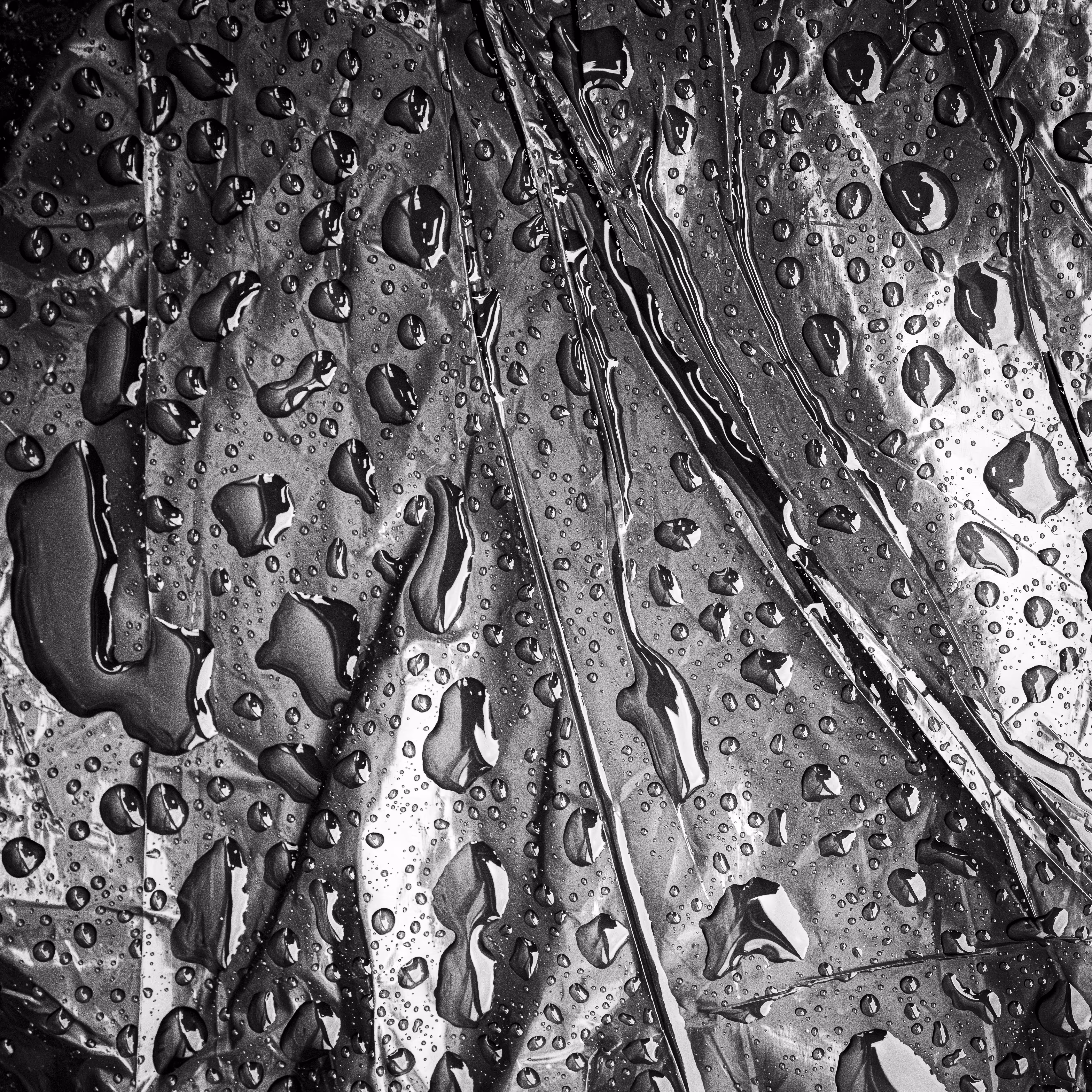 CACHIVACHES (monochrome): CACHIVACHES #30