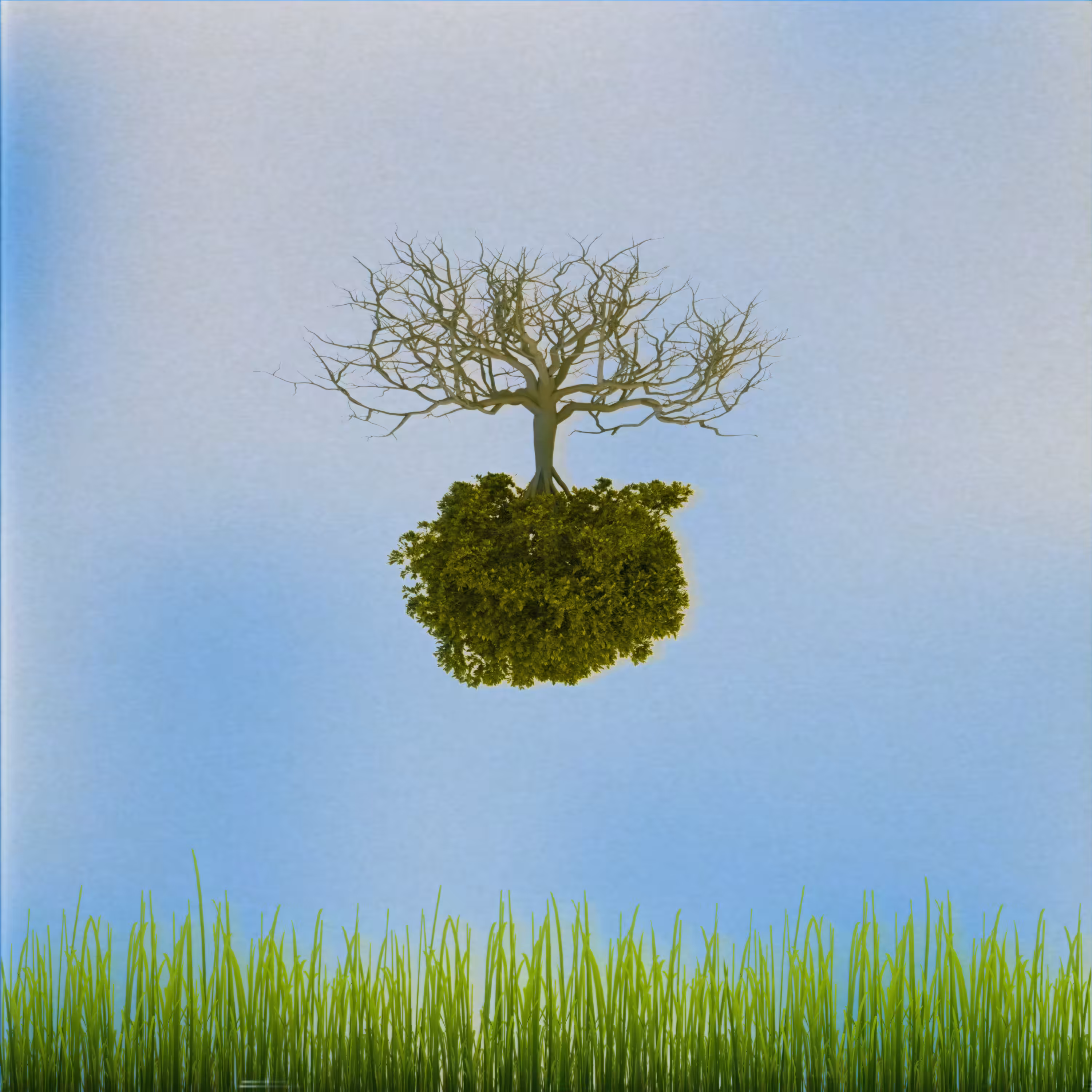 TREES COME OUT OF THE AIR | Original single art