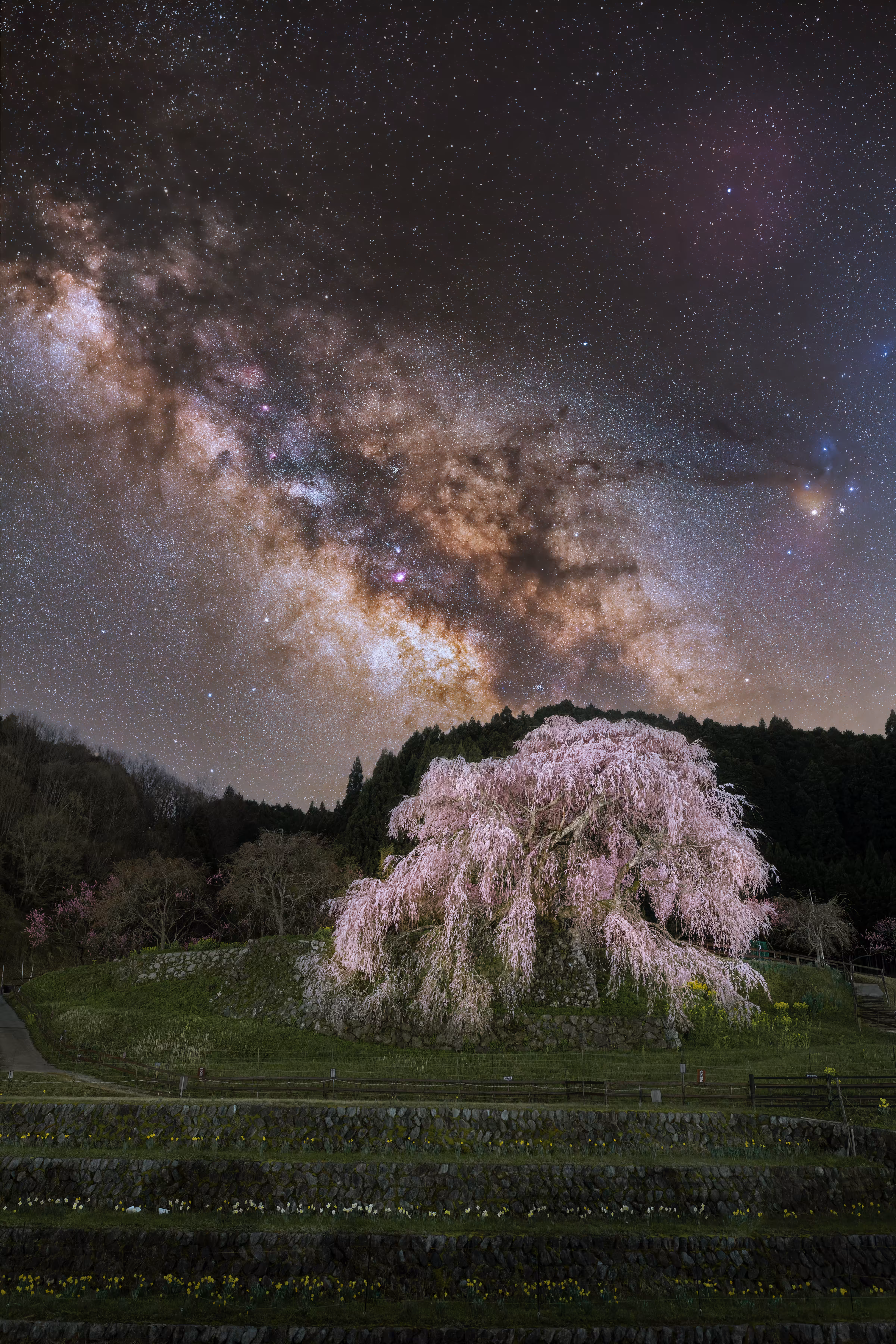 悠久 – Eternity –