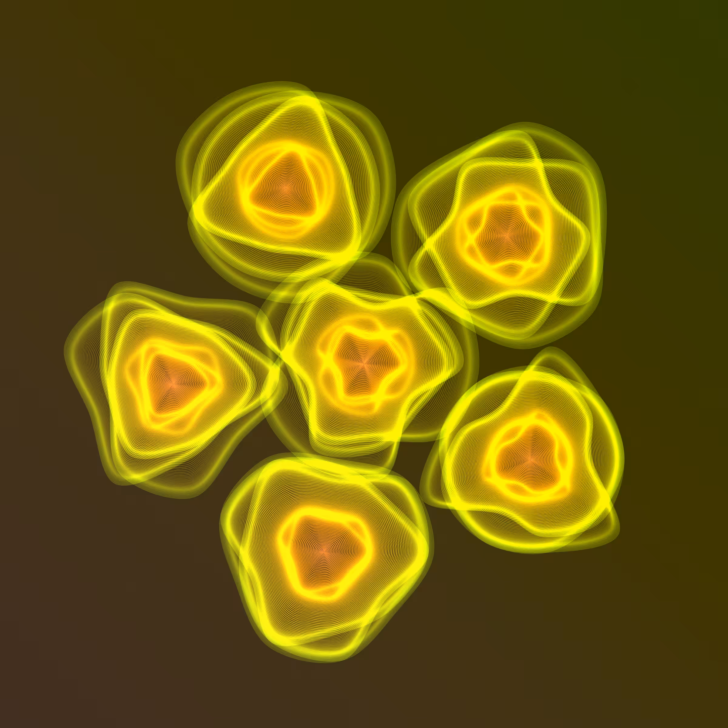 Flowers #973