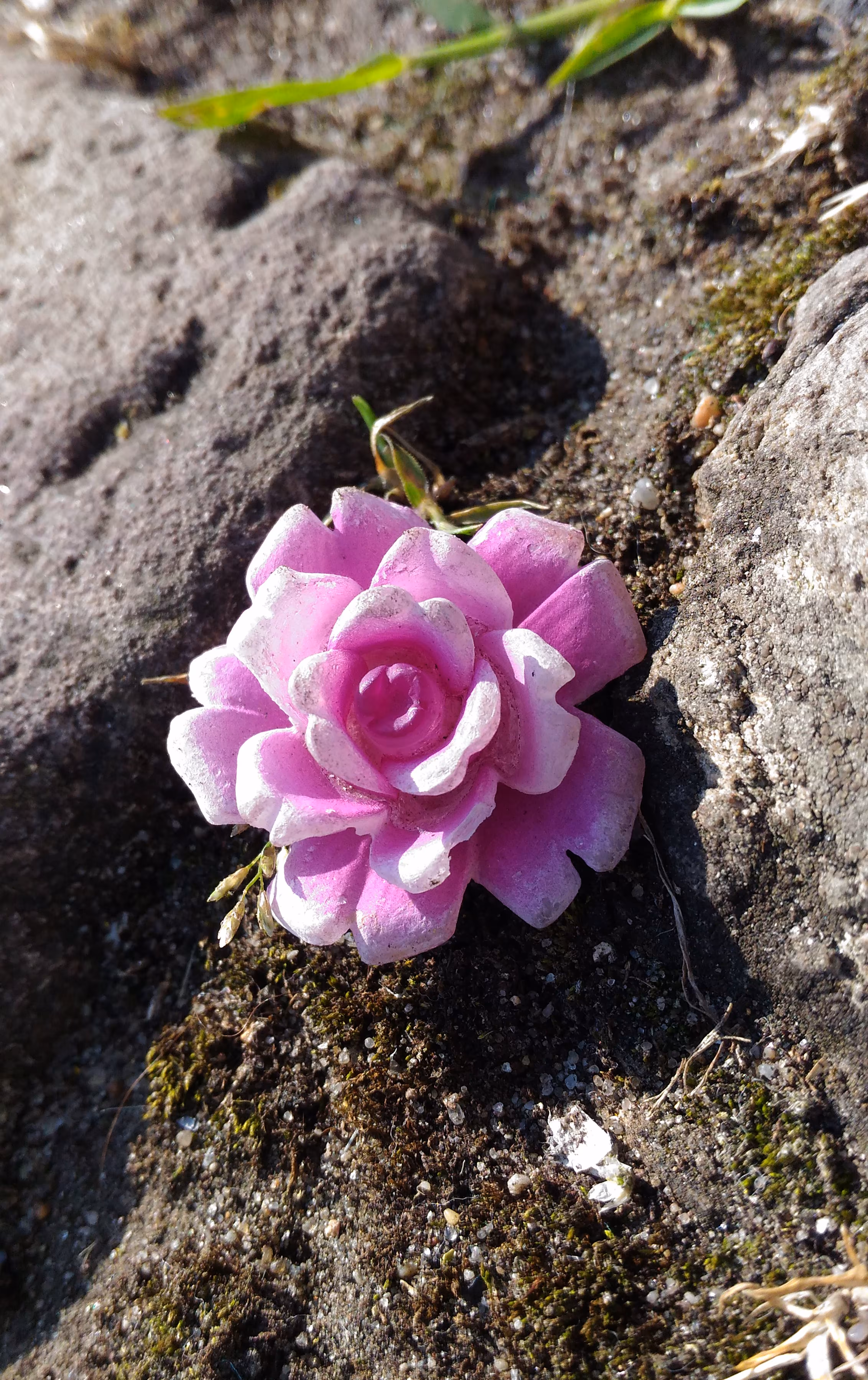 Natural Beauty