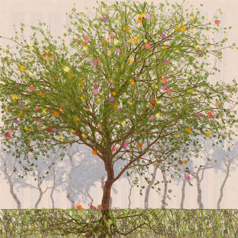 Orchard #156