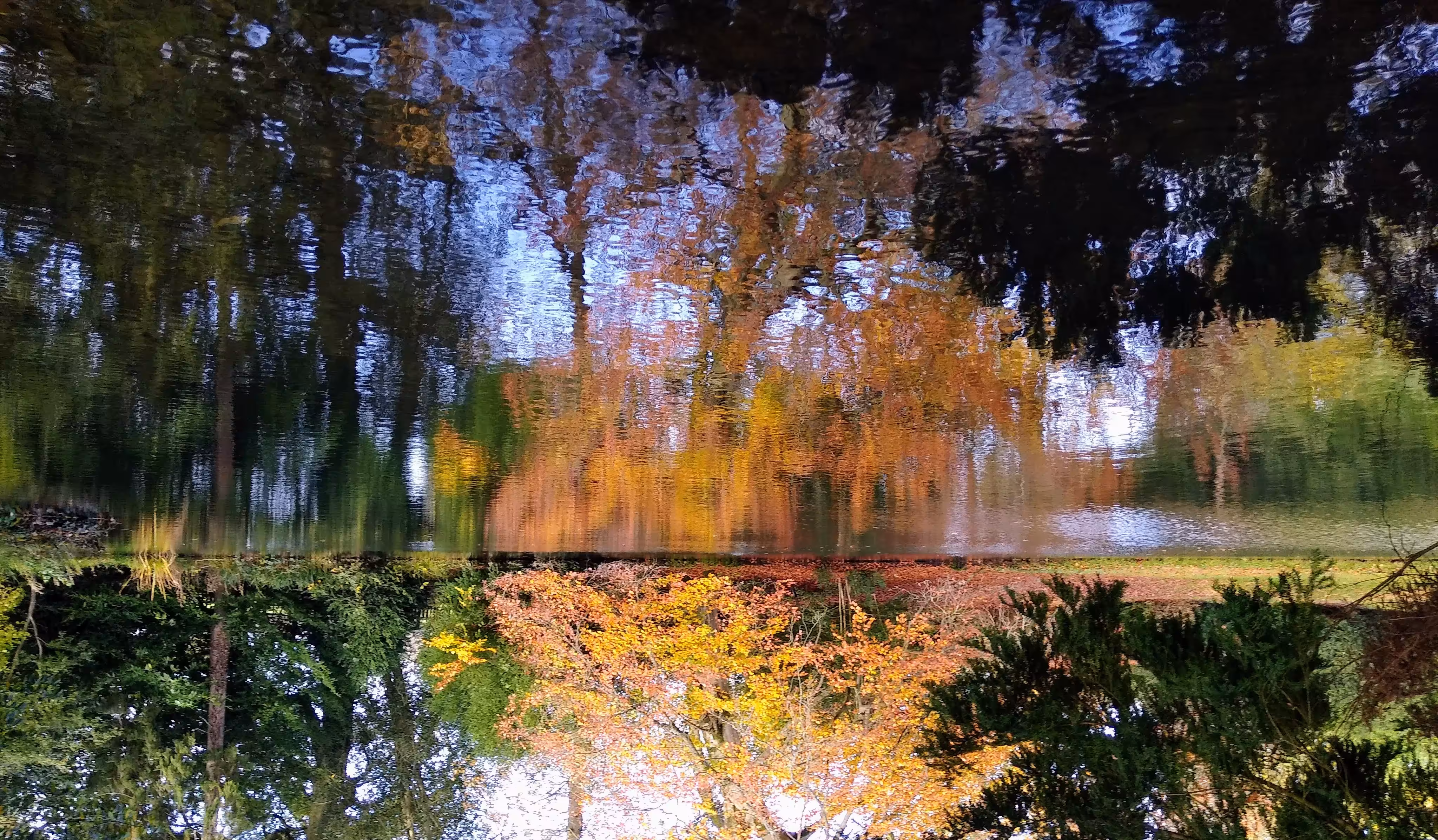 Reflecting on Autumn