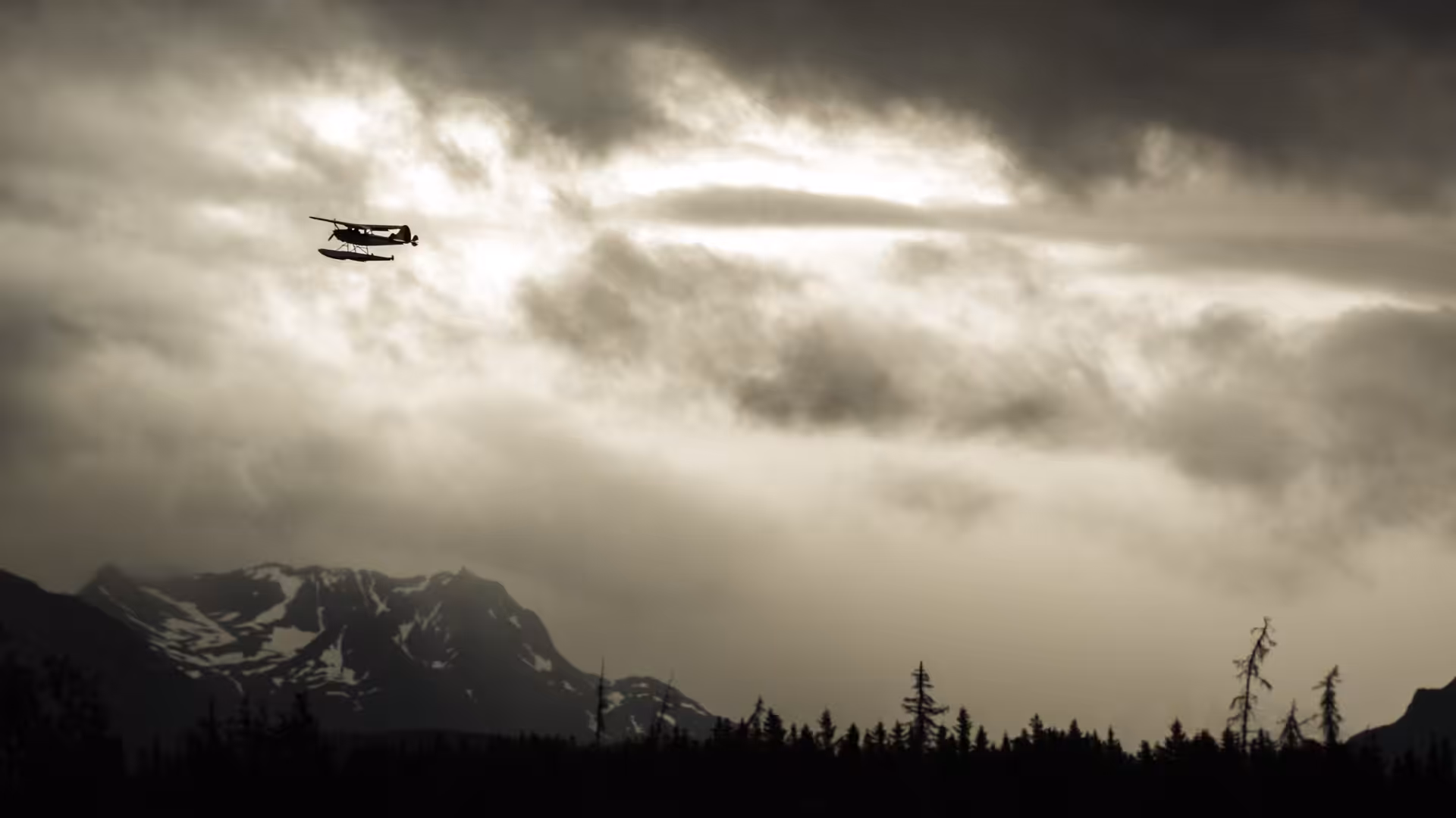 The Flight