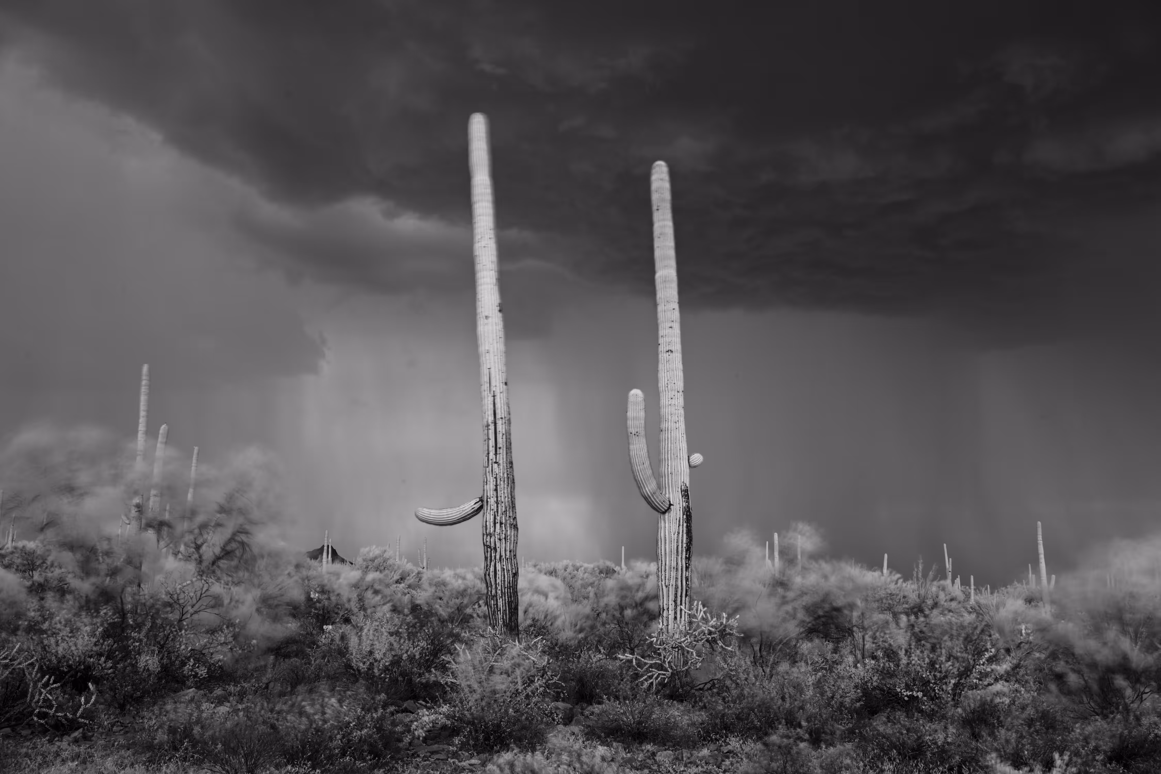Storms - Two Brothers