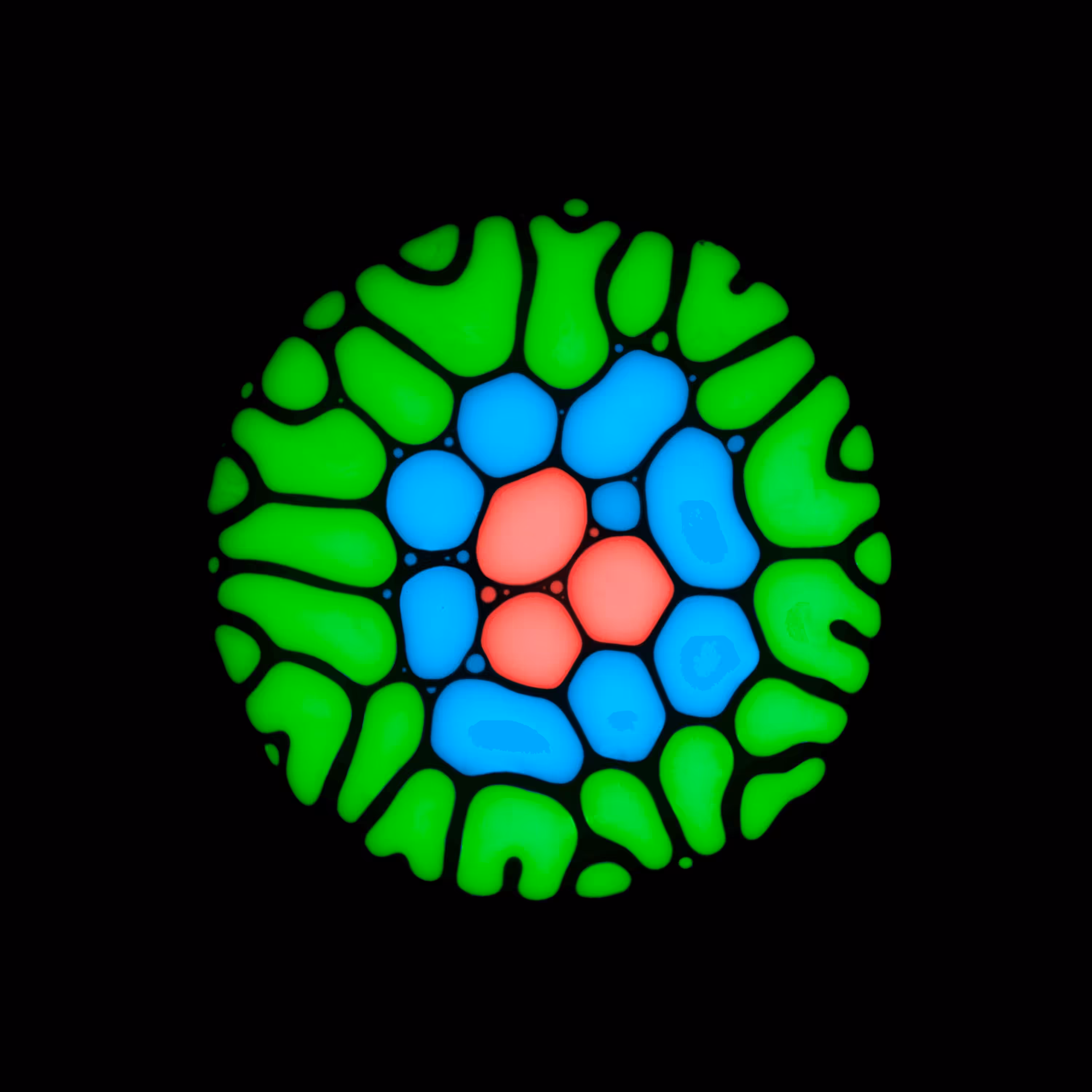 Haematopoiesis #148