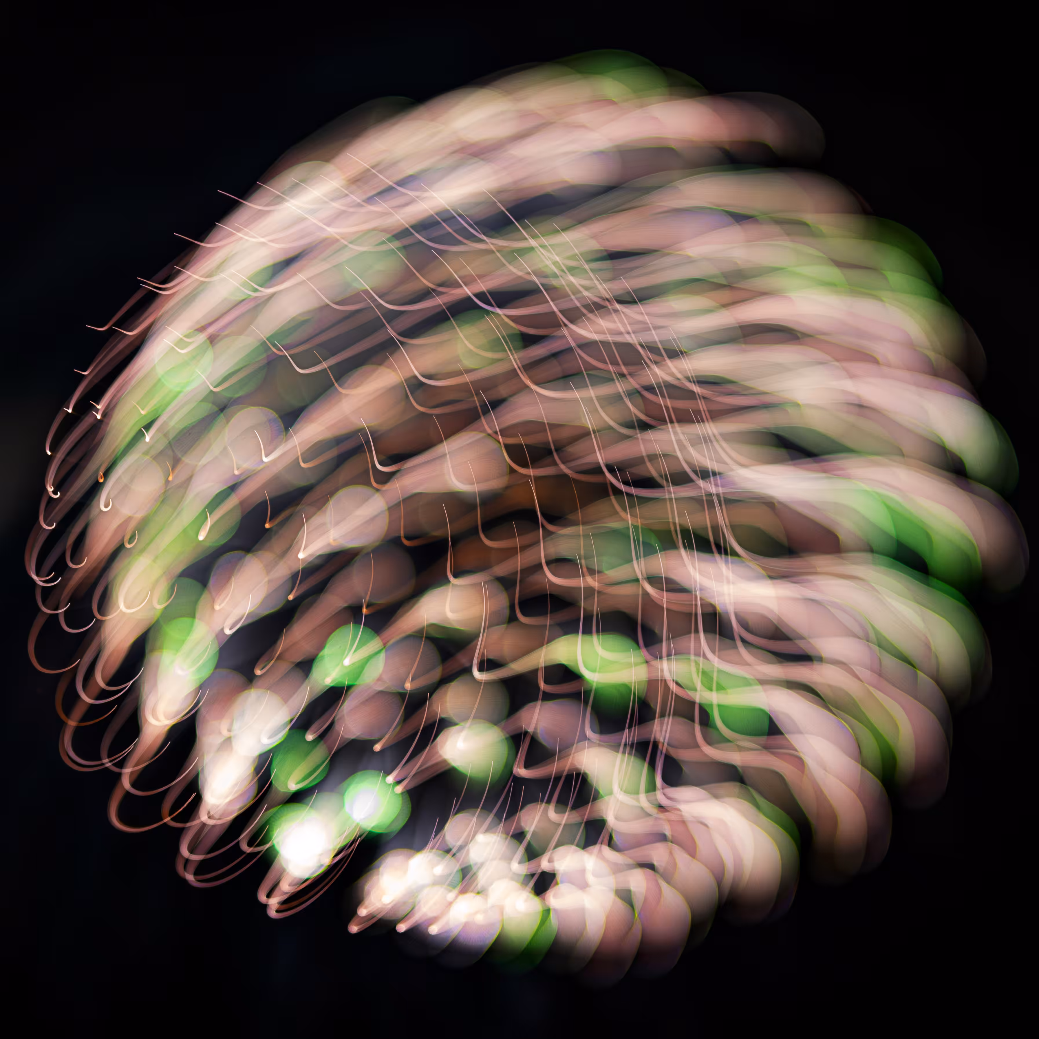 GISELXPHOTO: L1190502