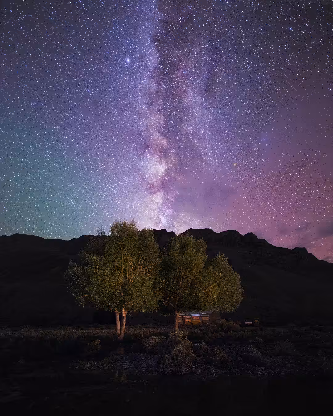 The Starry Nights #29