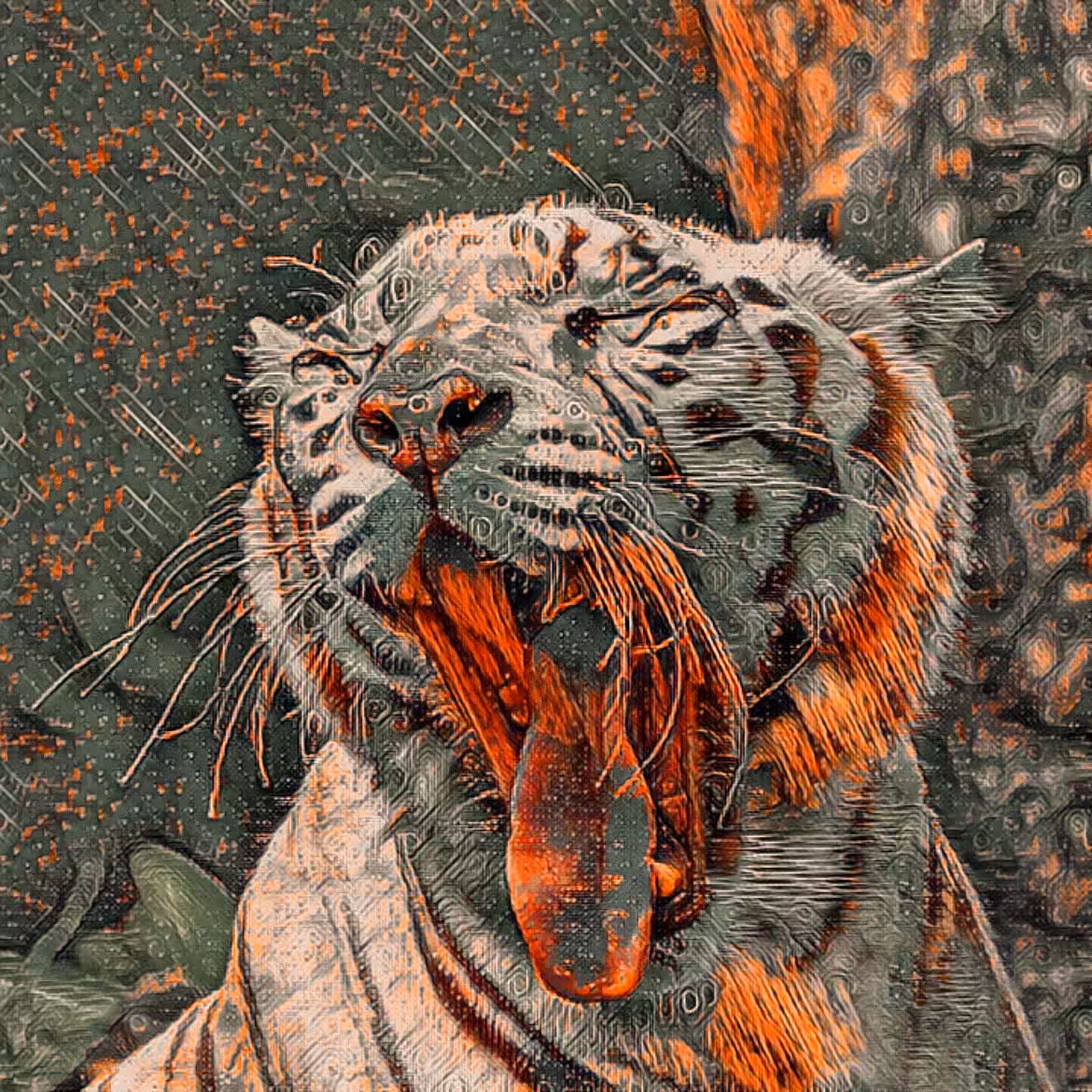 white tiger
