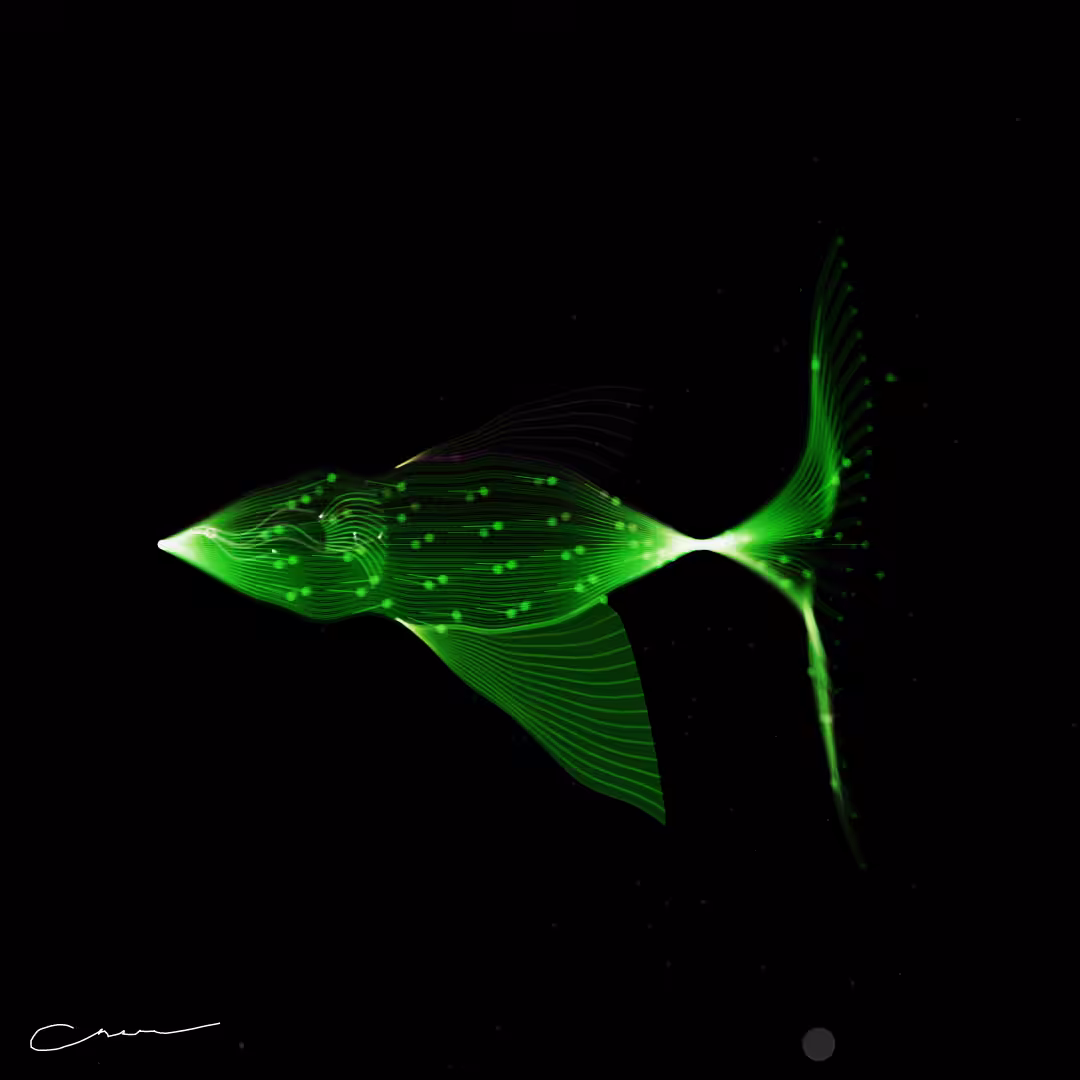 SoulFish #341