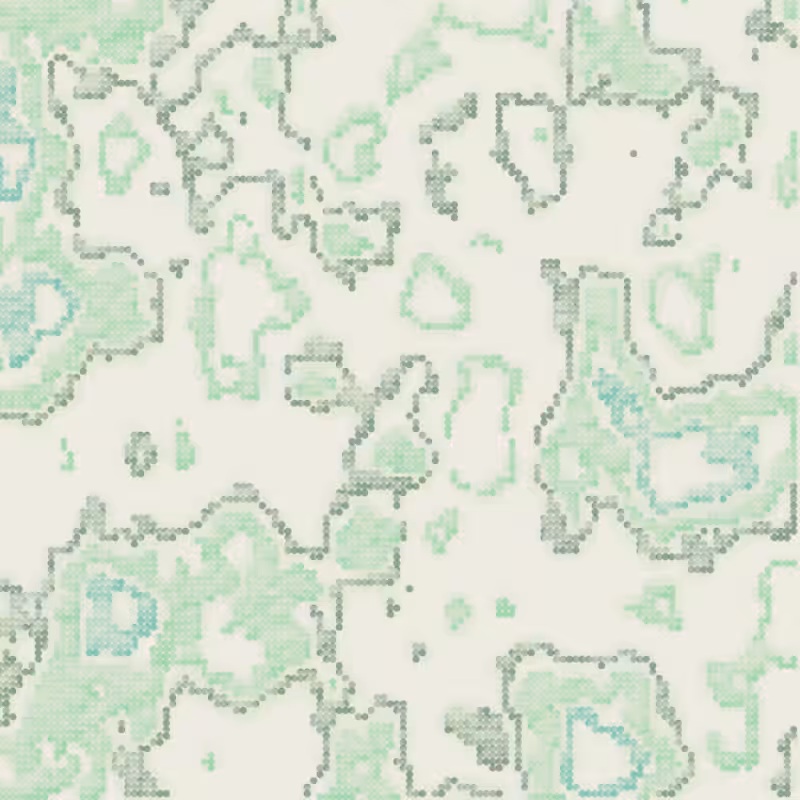 Petri 1500 #718