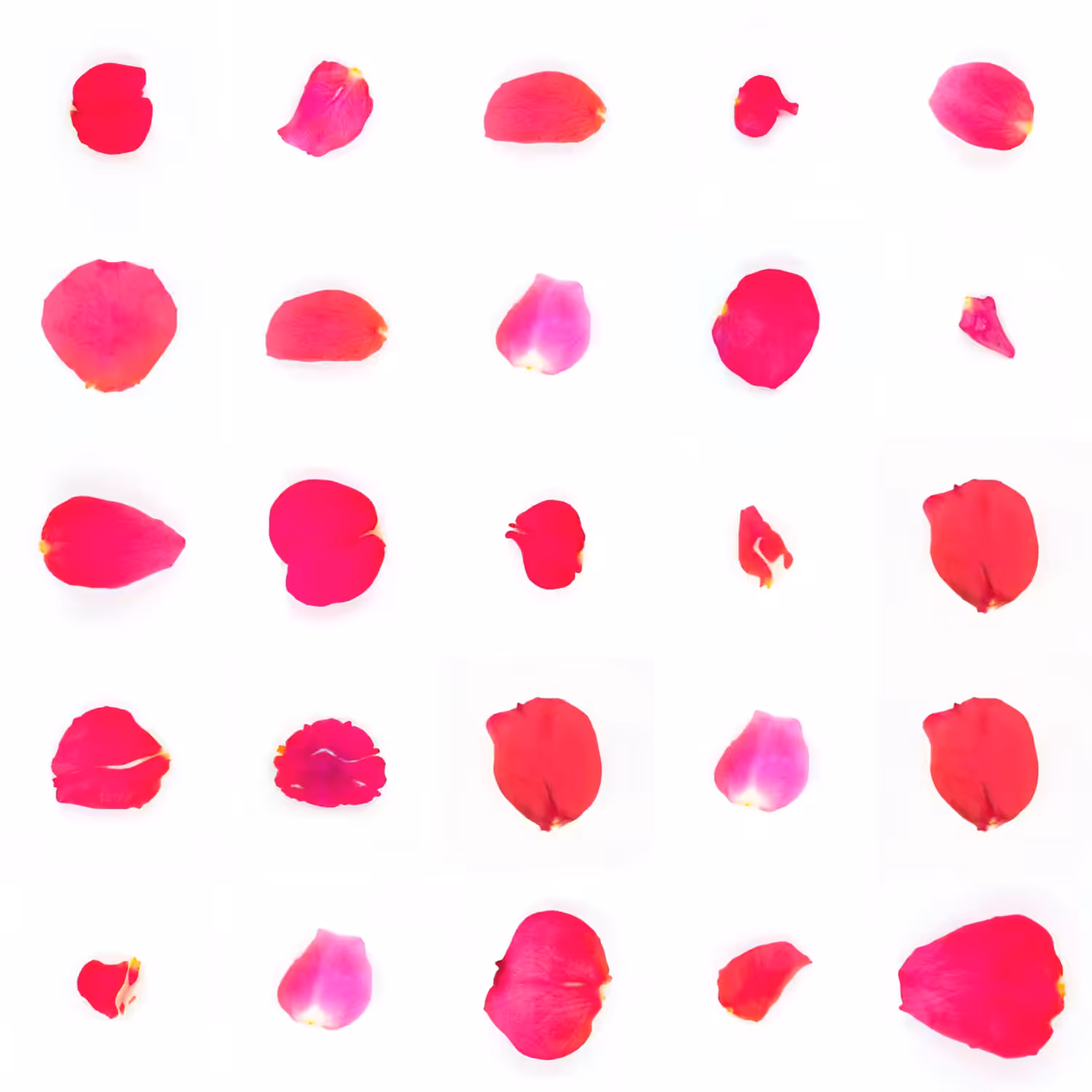 Infinite Petals 5x5#279