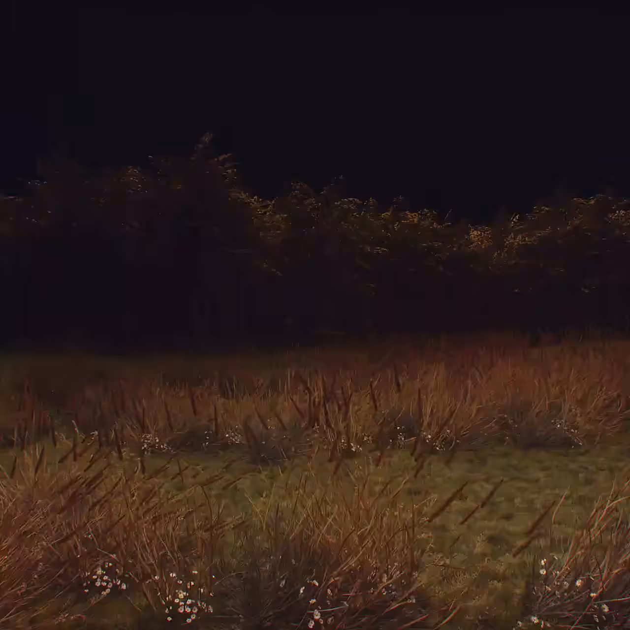 Maurading in Paradise 