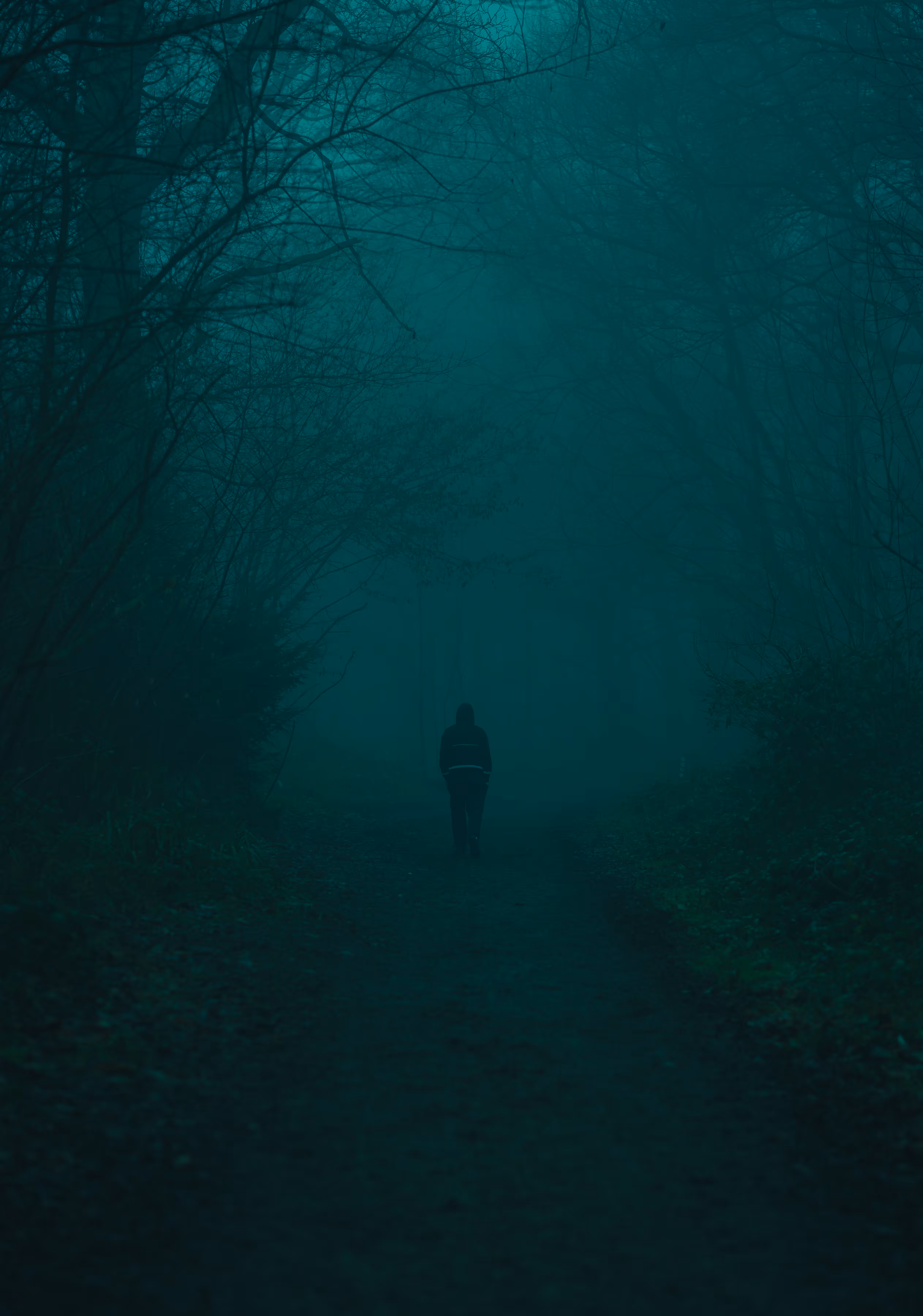 The lonely path