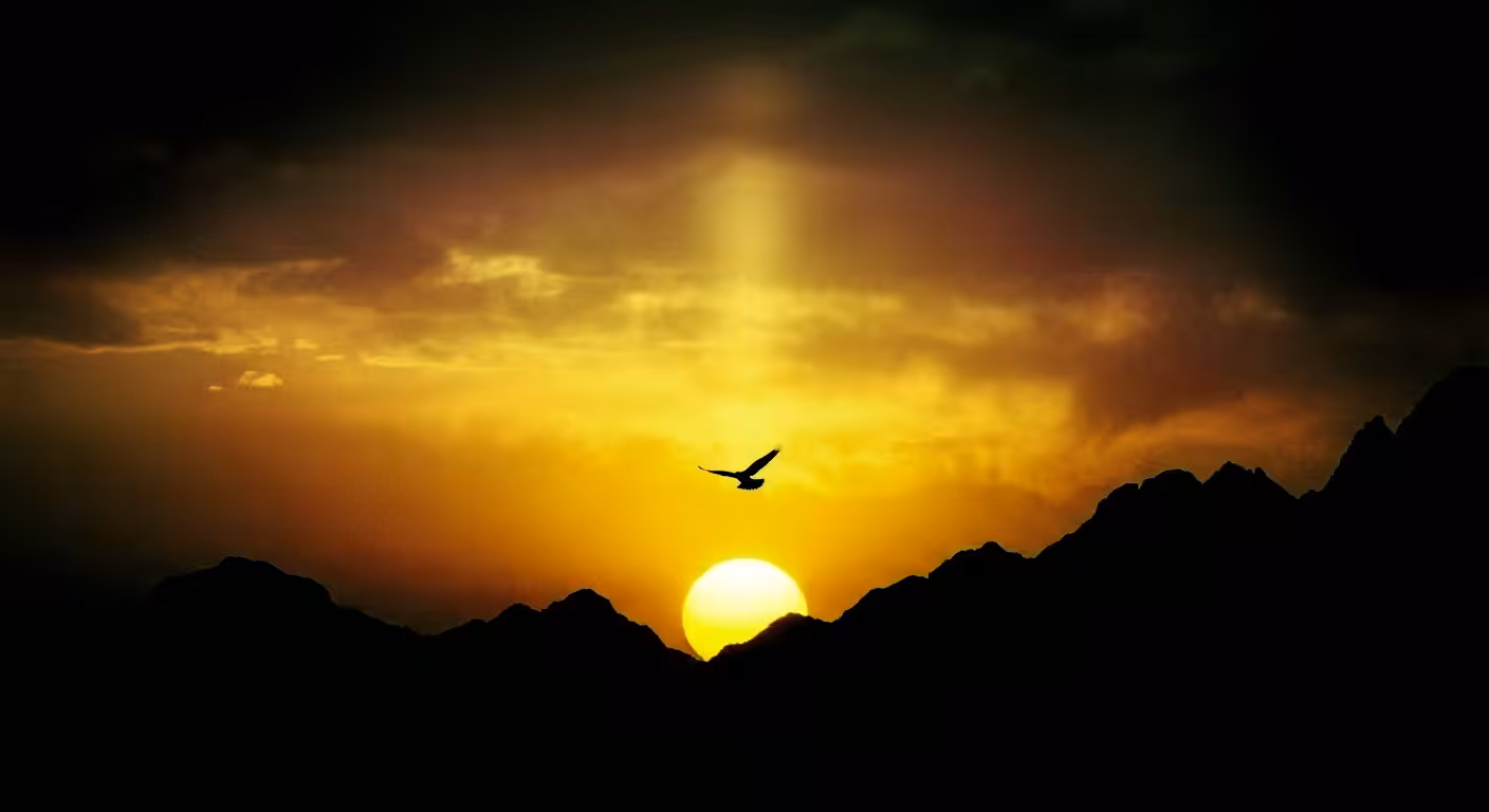 Over