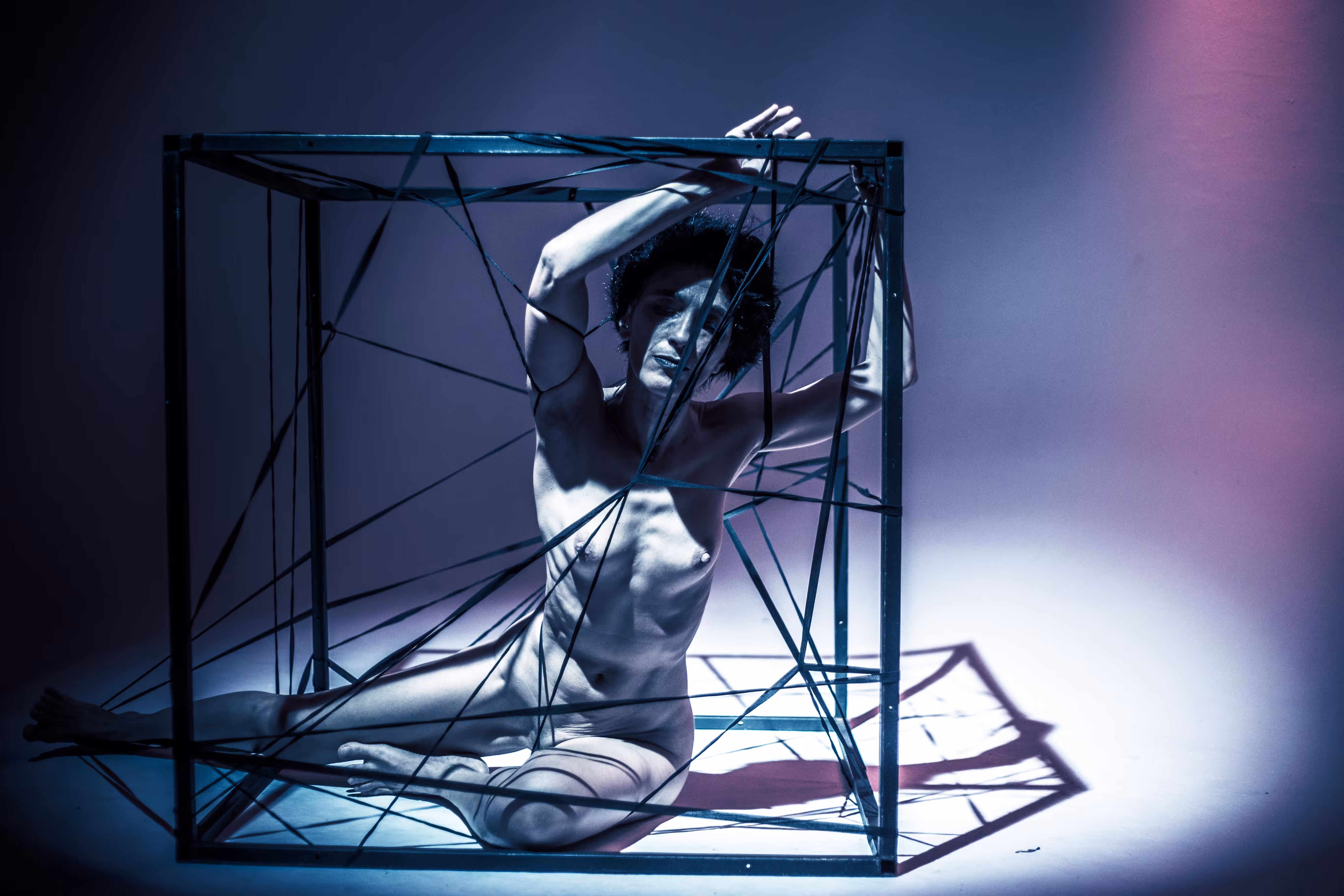 Captive #4