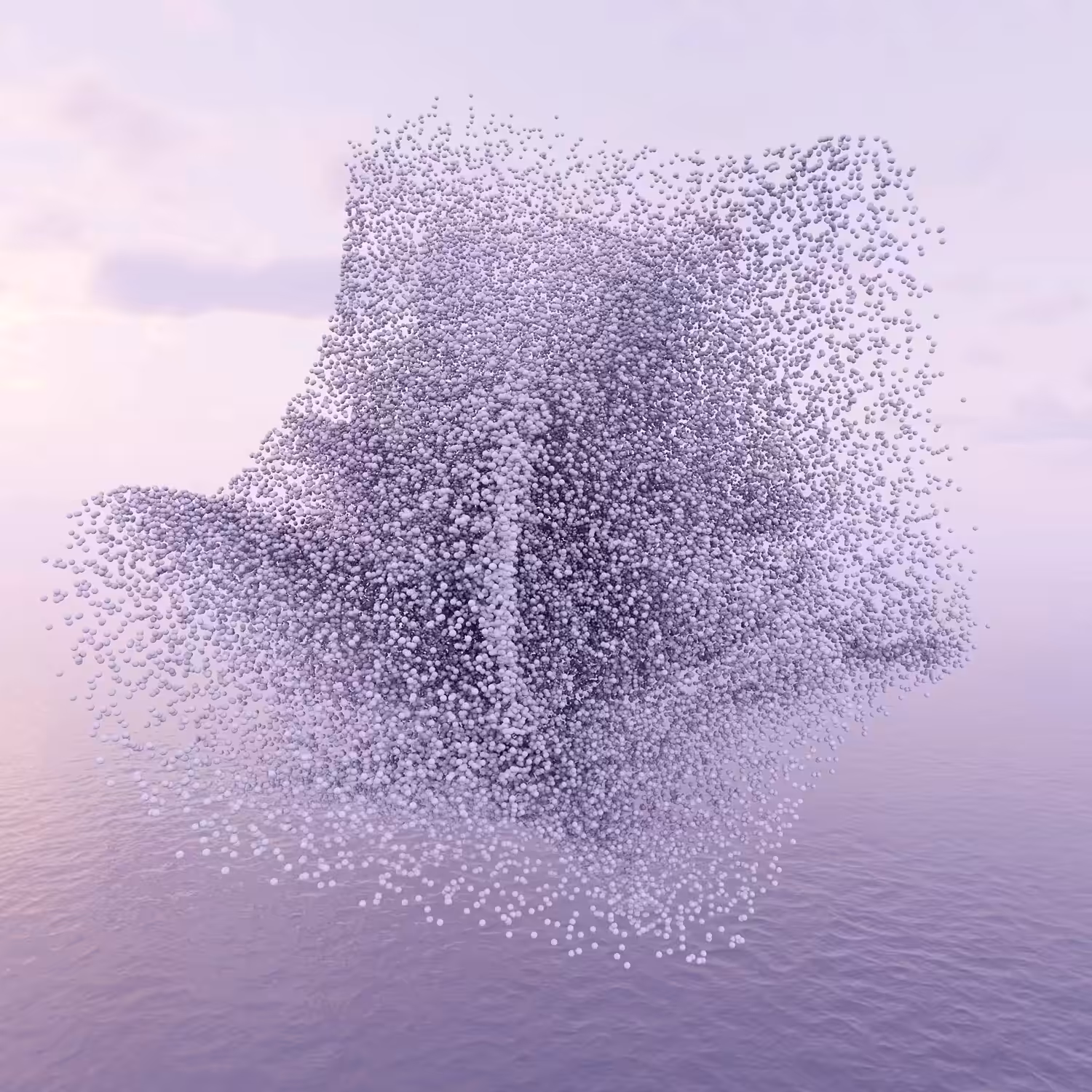 murmuration  