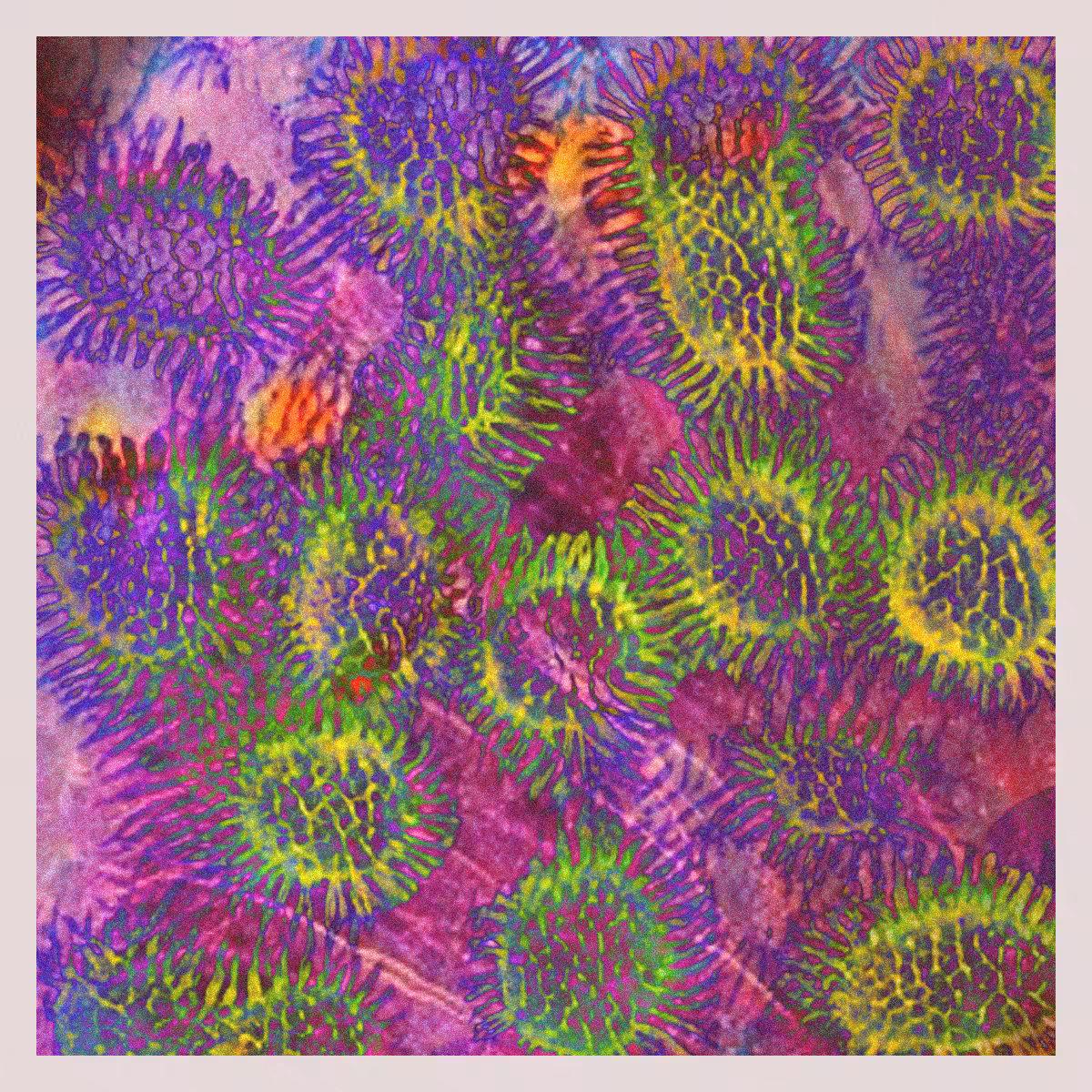 orGANics #46