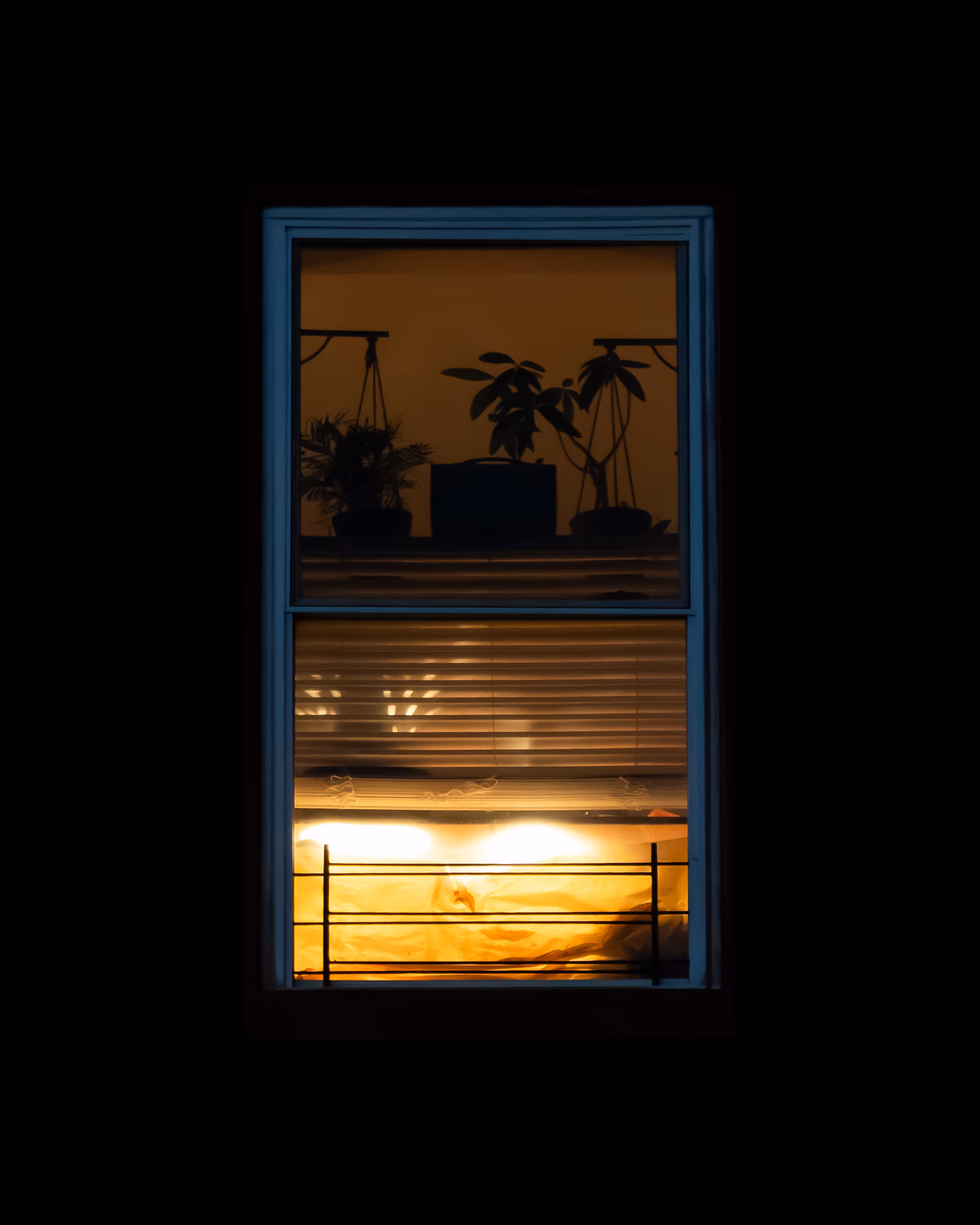WINDOW 907