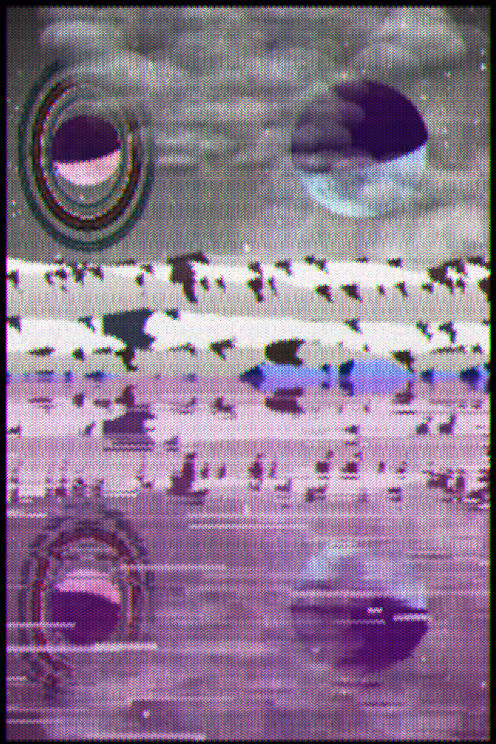 Gradient Ascent #146