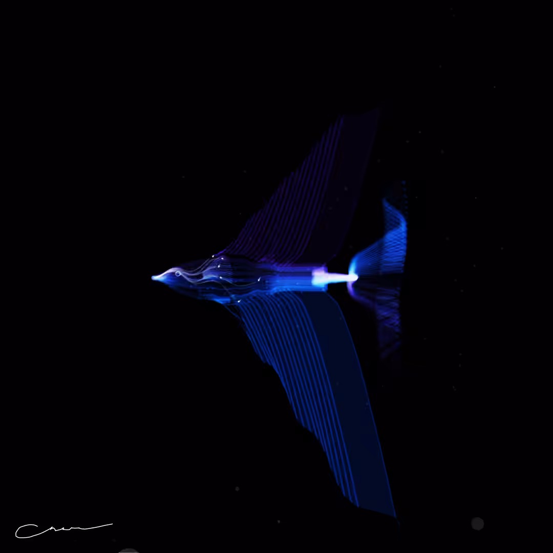 SoulFish #42