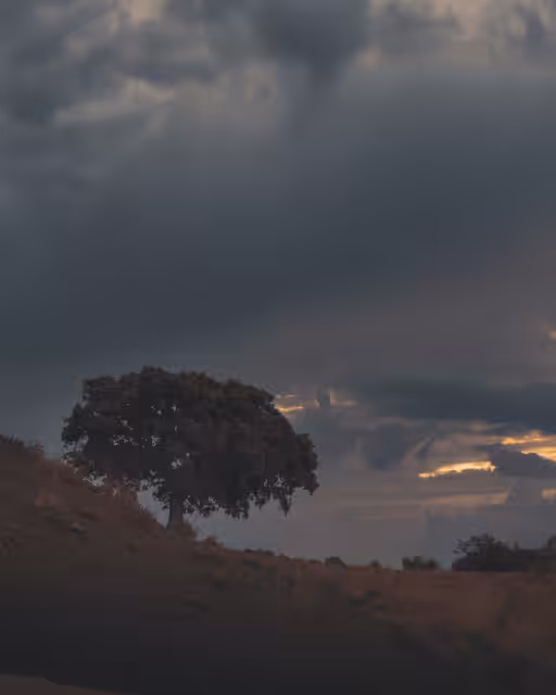 Sunset #01