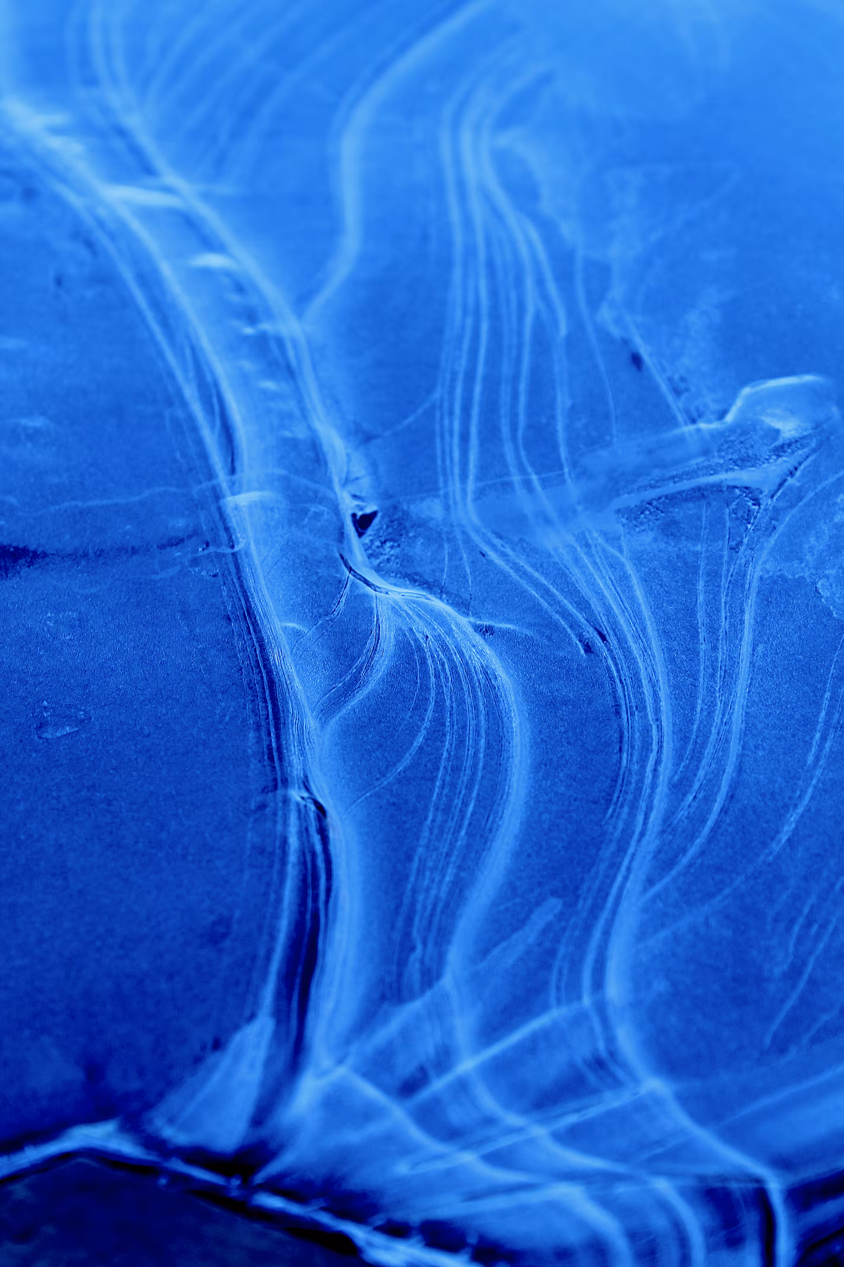 Abstract #1