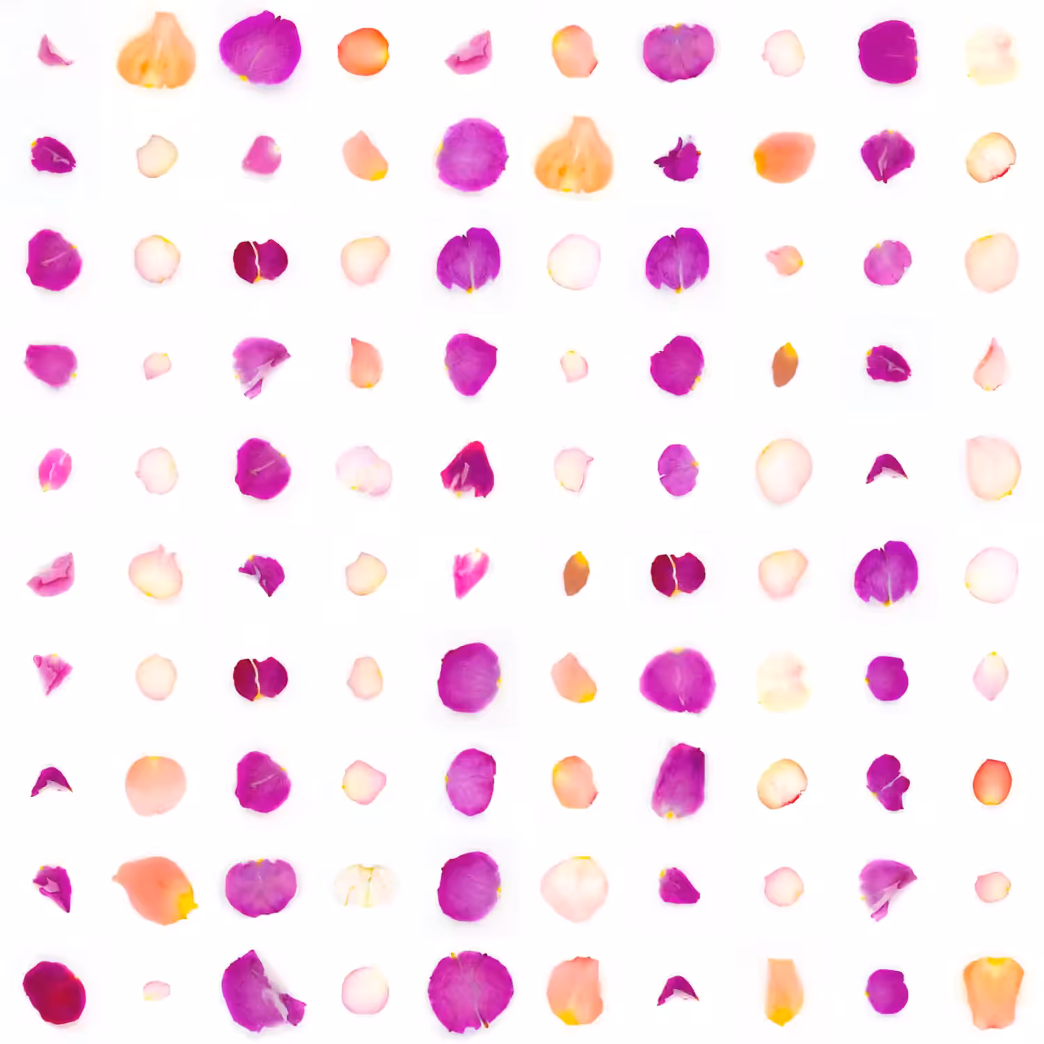 Infinite Petals 10x10#10133