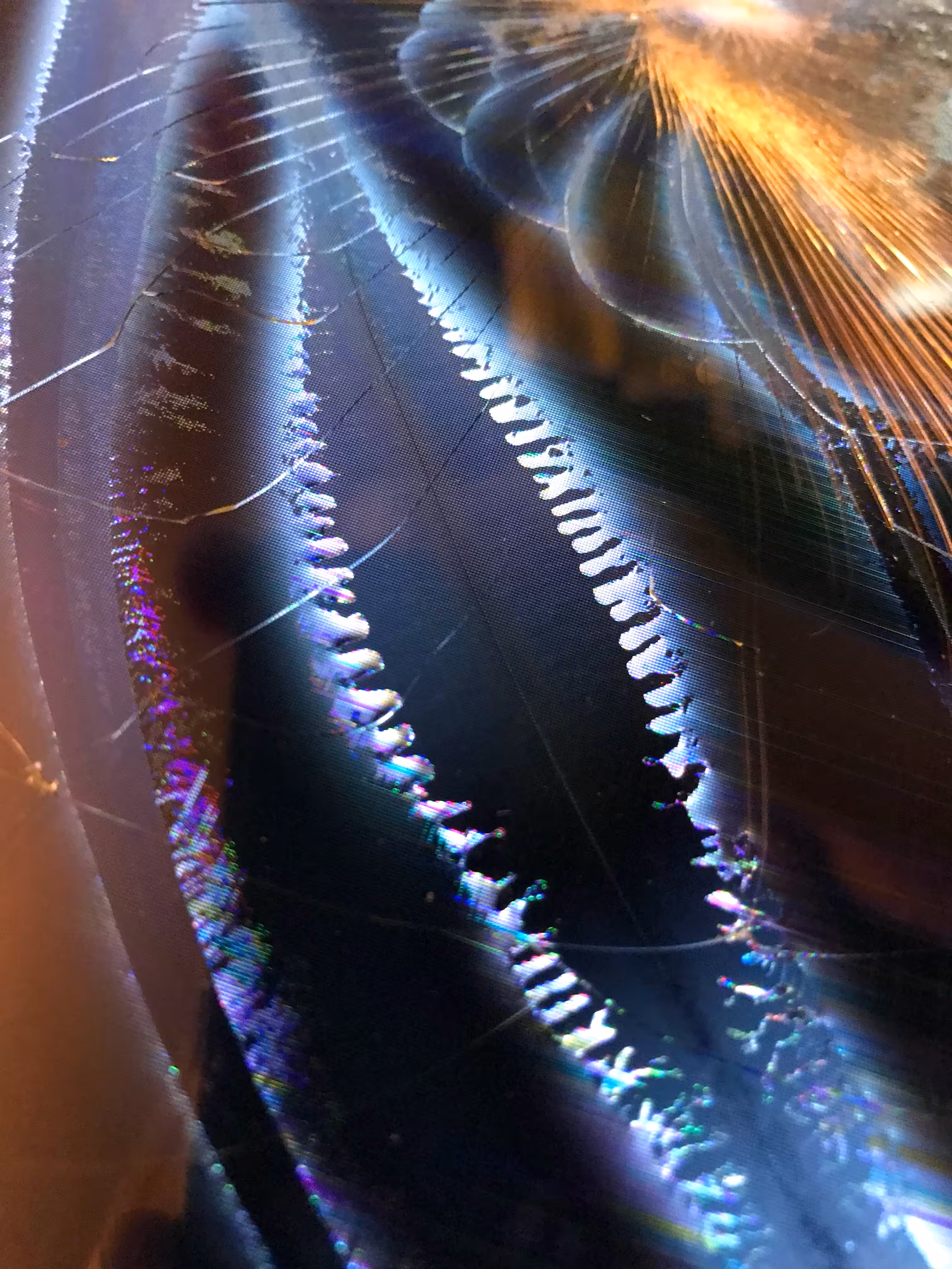 LOWREZ172