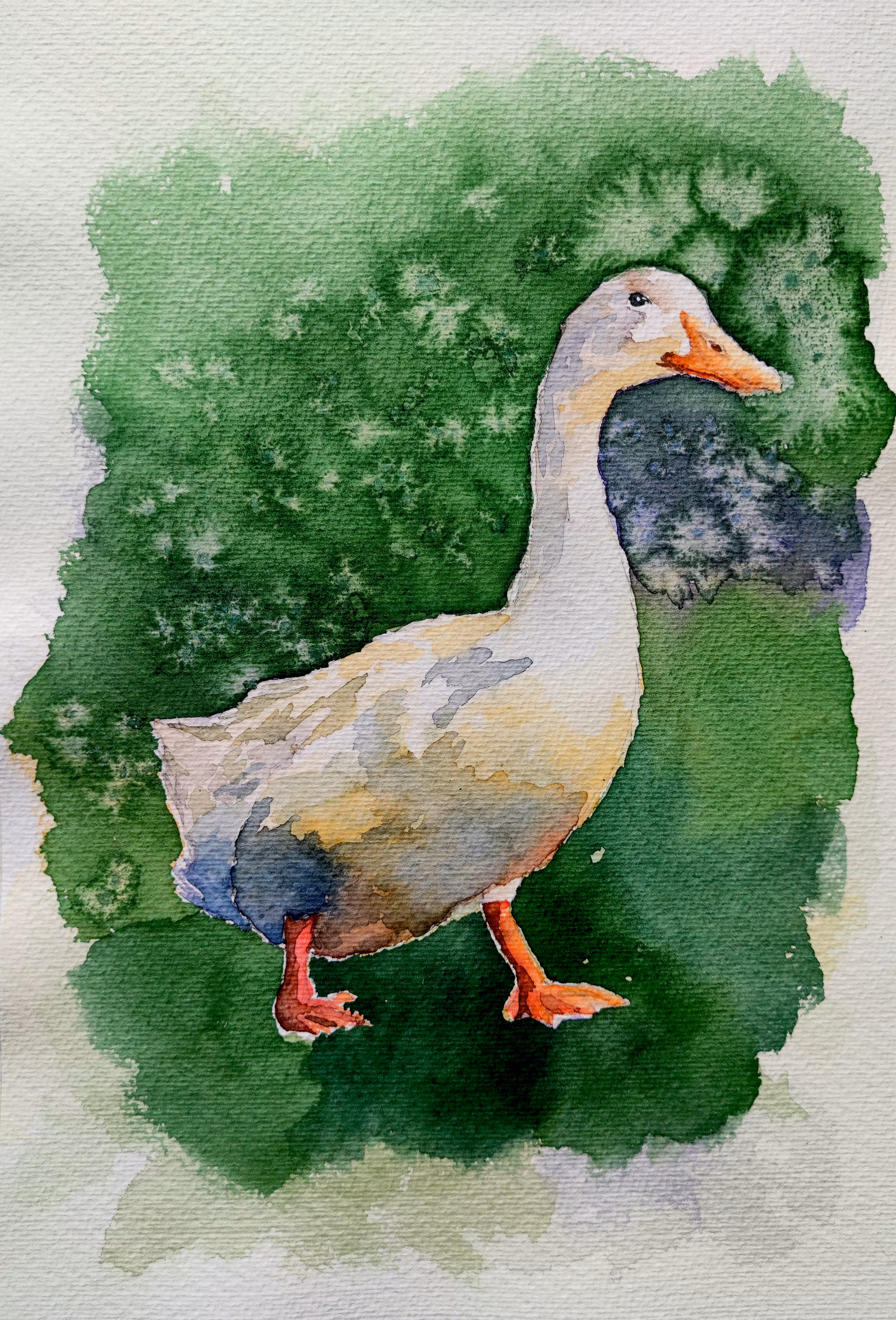 The Happy Valley: The Mr. Duck!