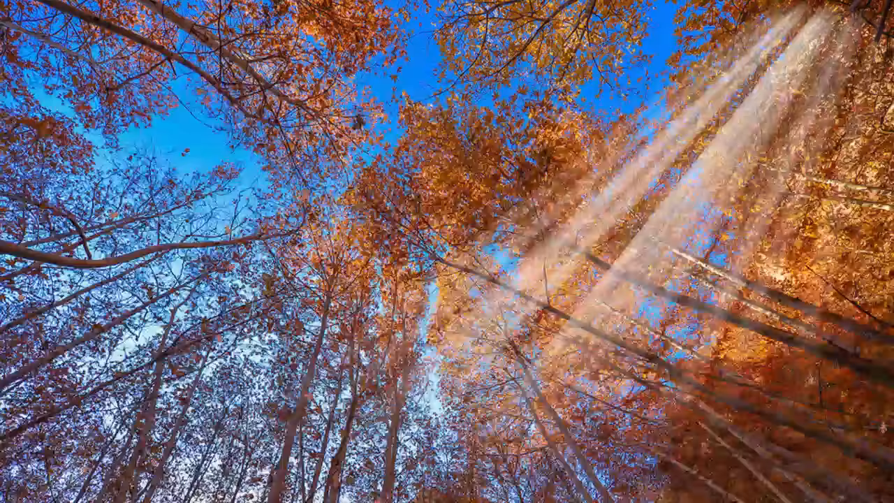 fall