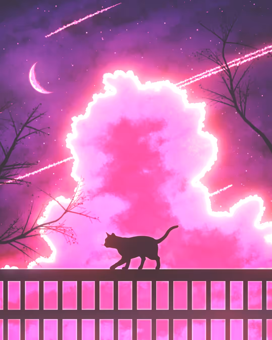 The Cat's Adventure