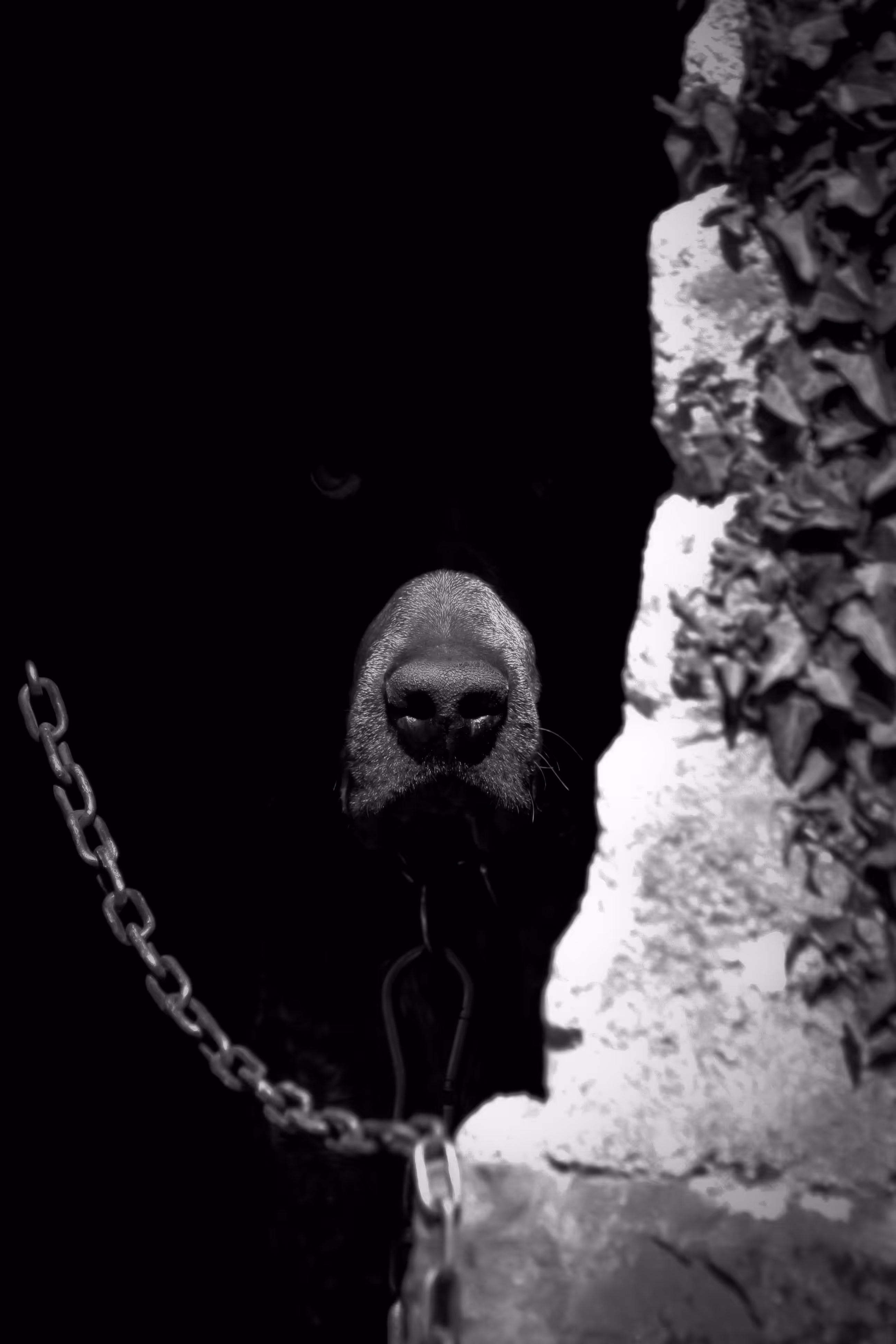 Darkest fate