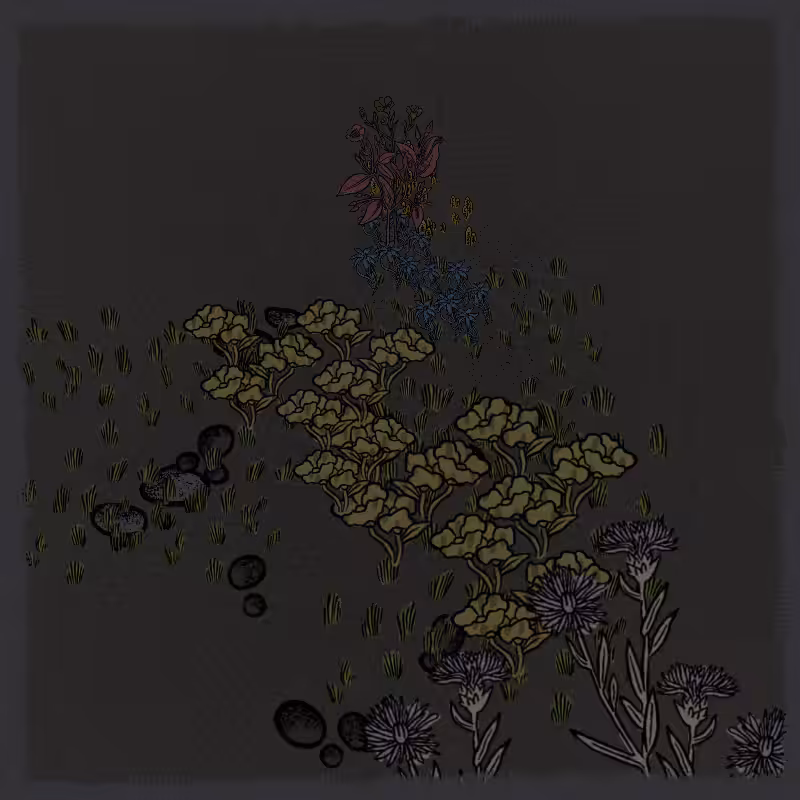 Gardens  #67