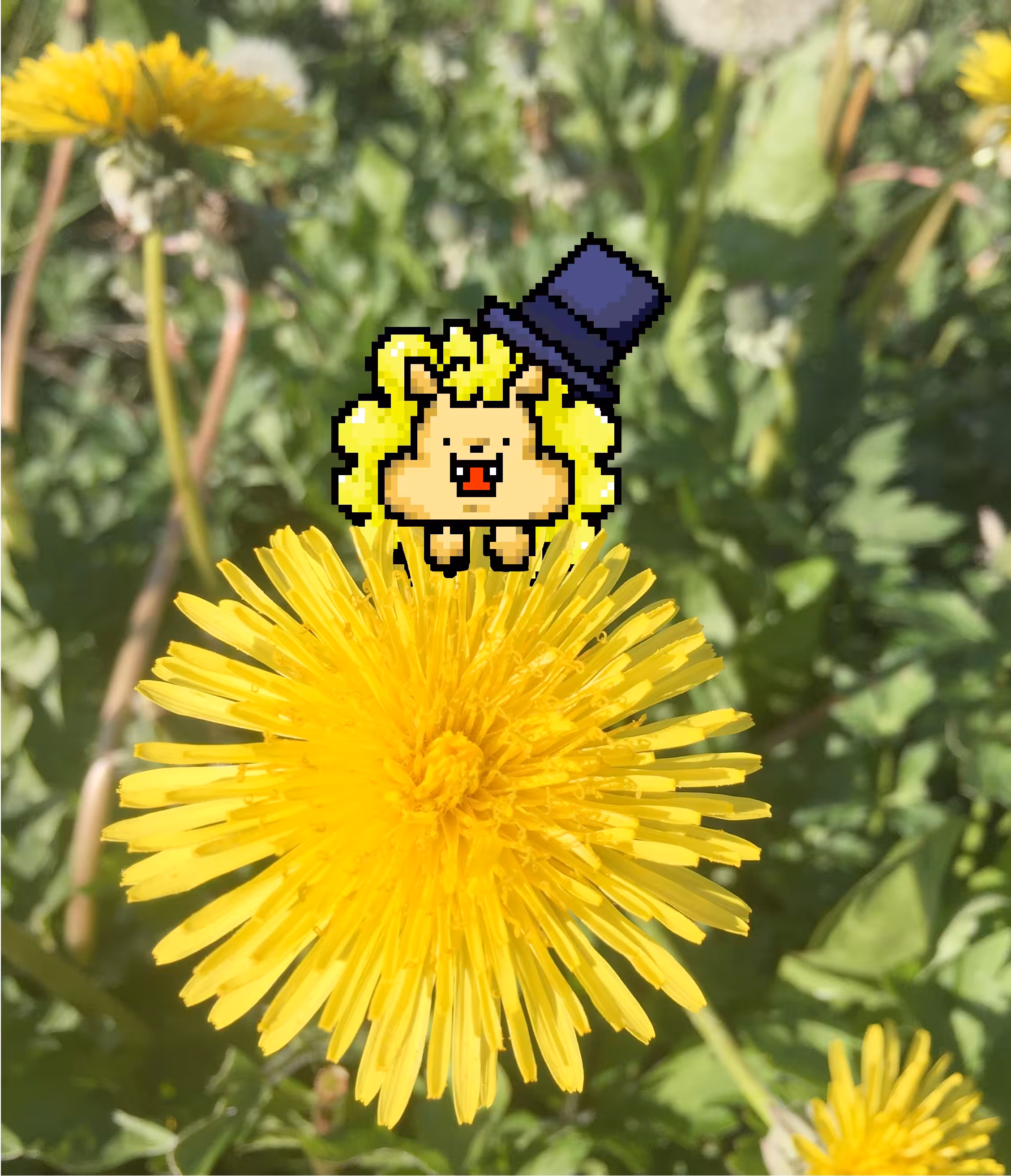 DandyLion on DandeLion