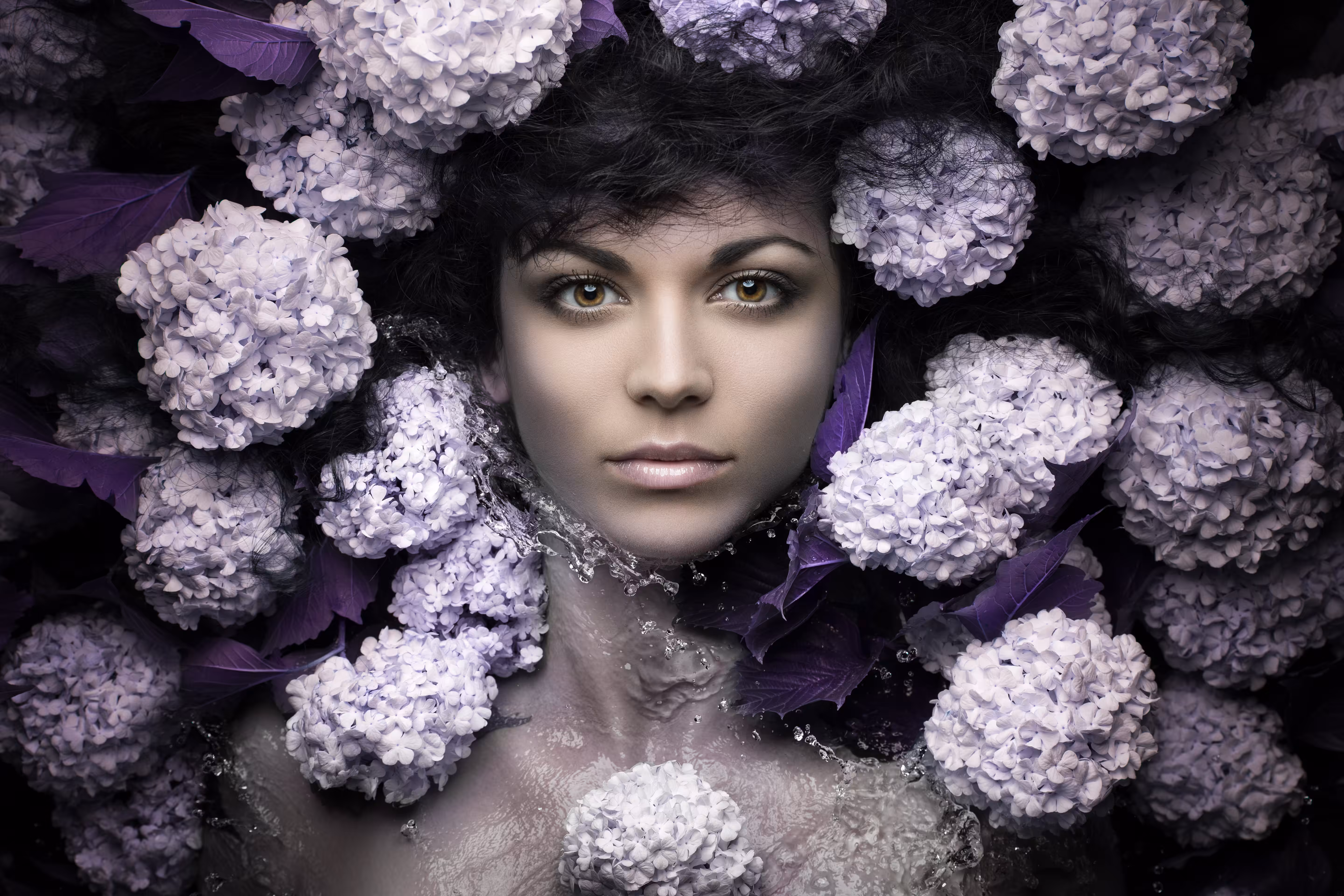 Miss Lilac