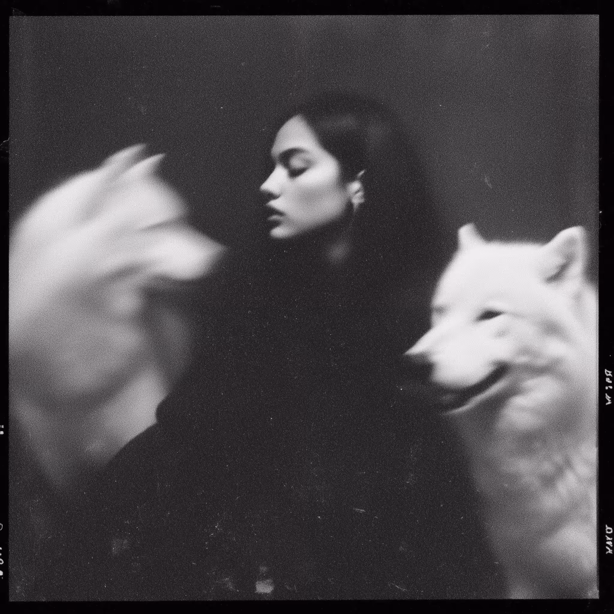 Between Silence And Scream