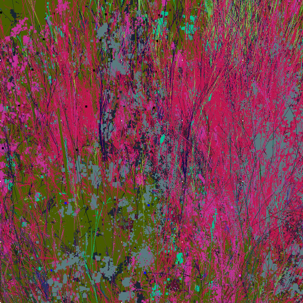 Infinite Garden: 53411 Flowers