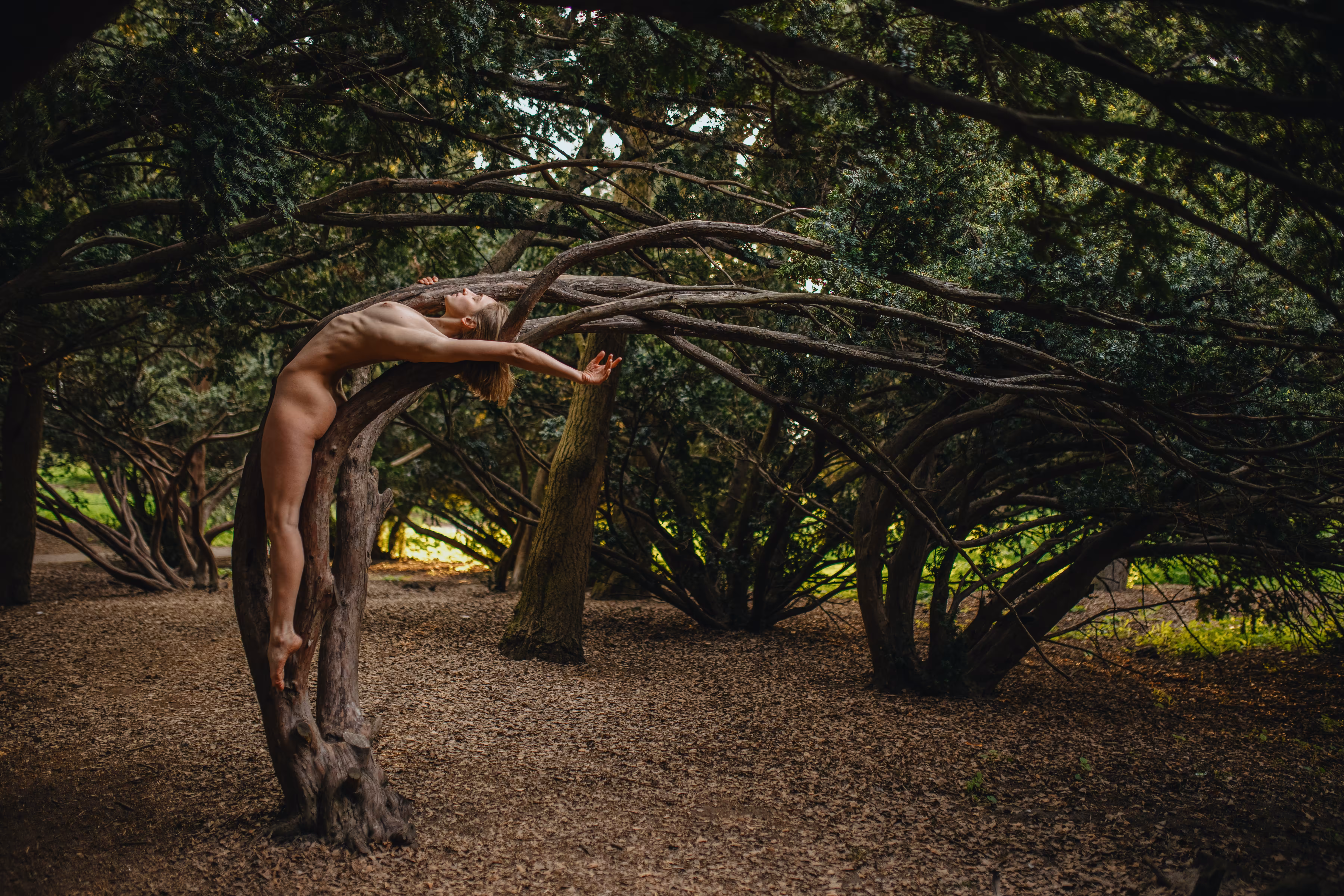Growing from the Tree #8
