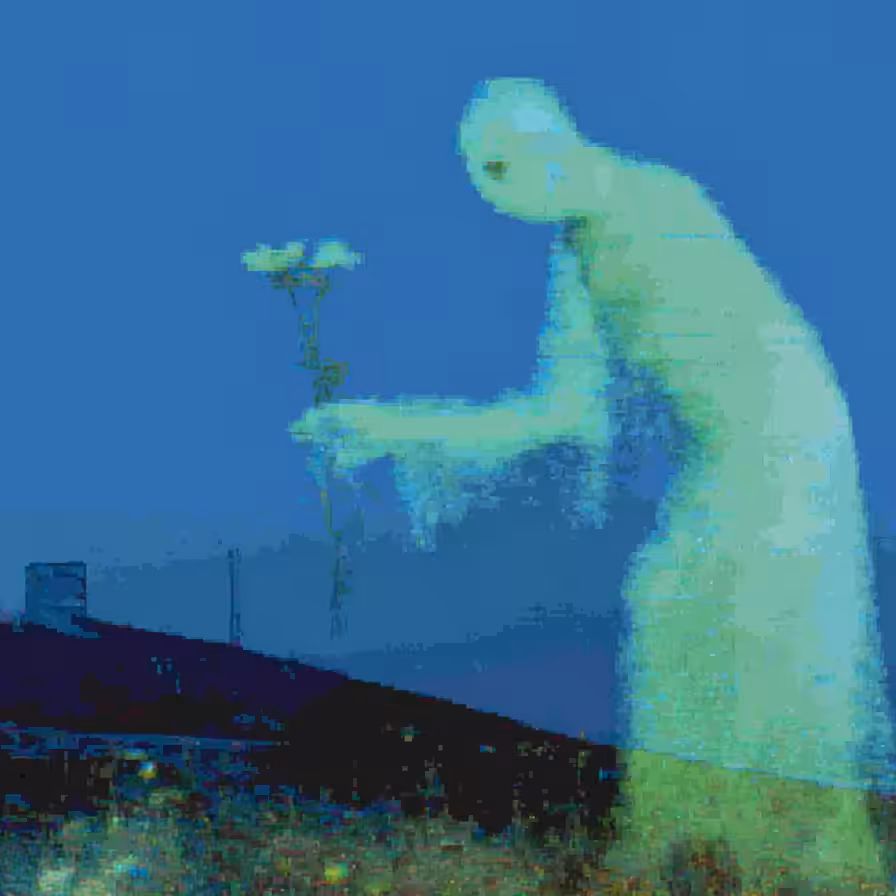 beyond the sky