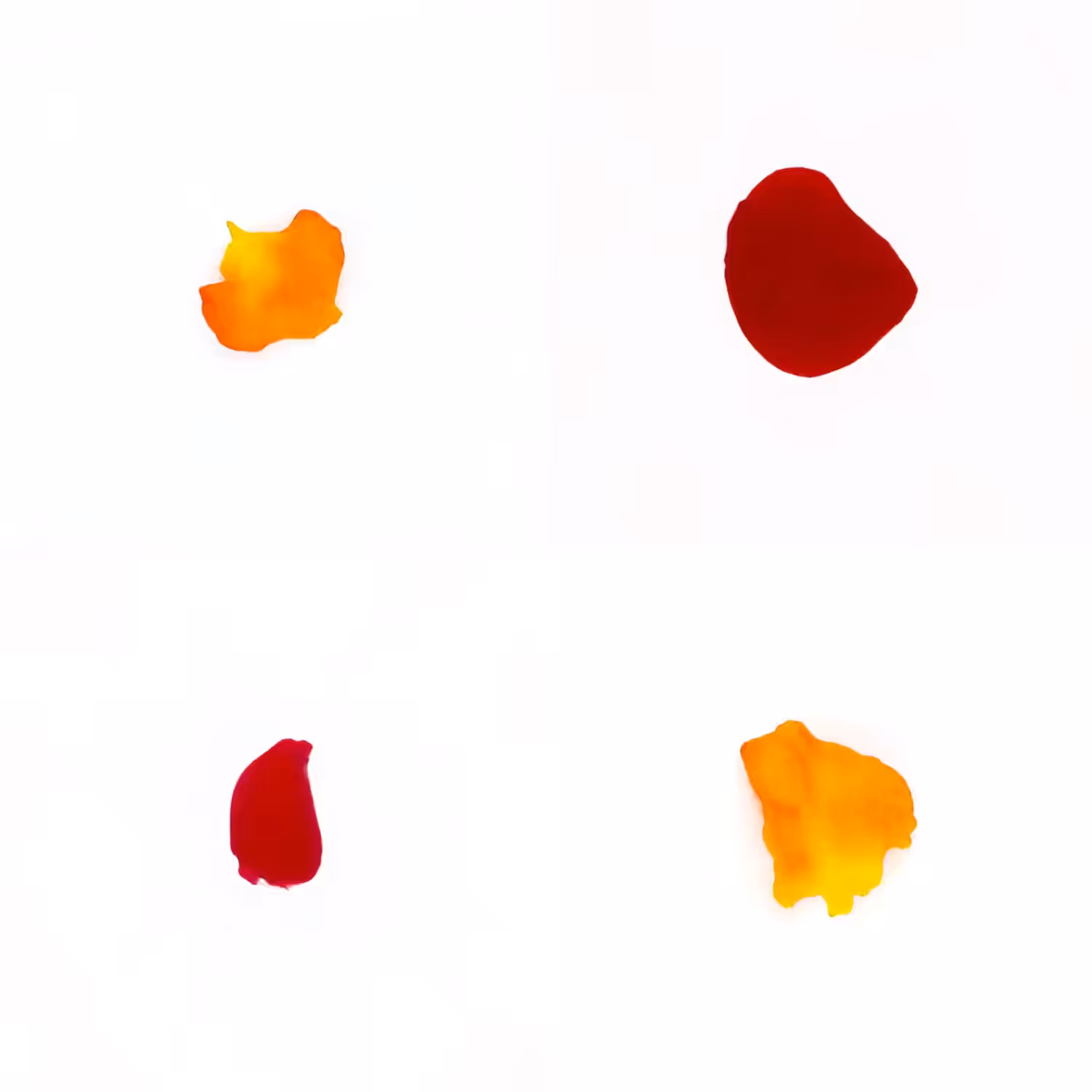 Infinite Petals 2x2#20500